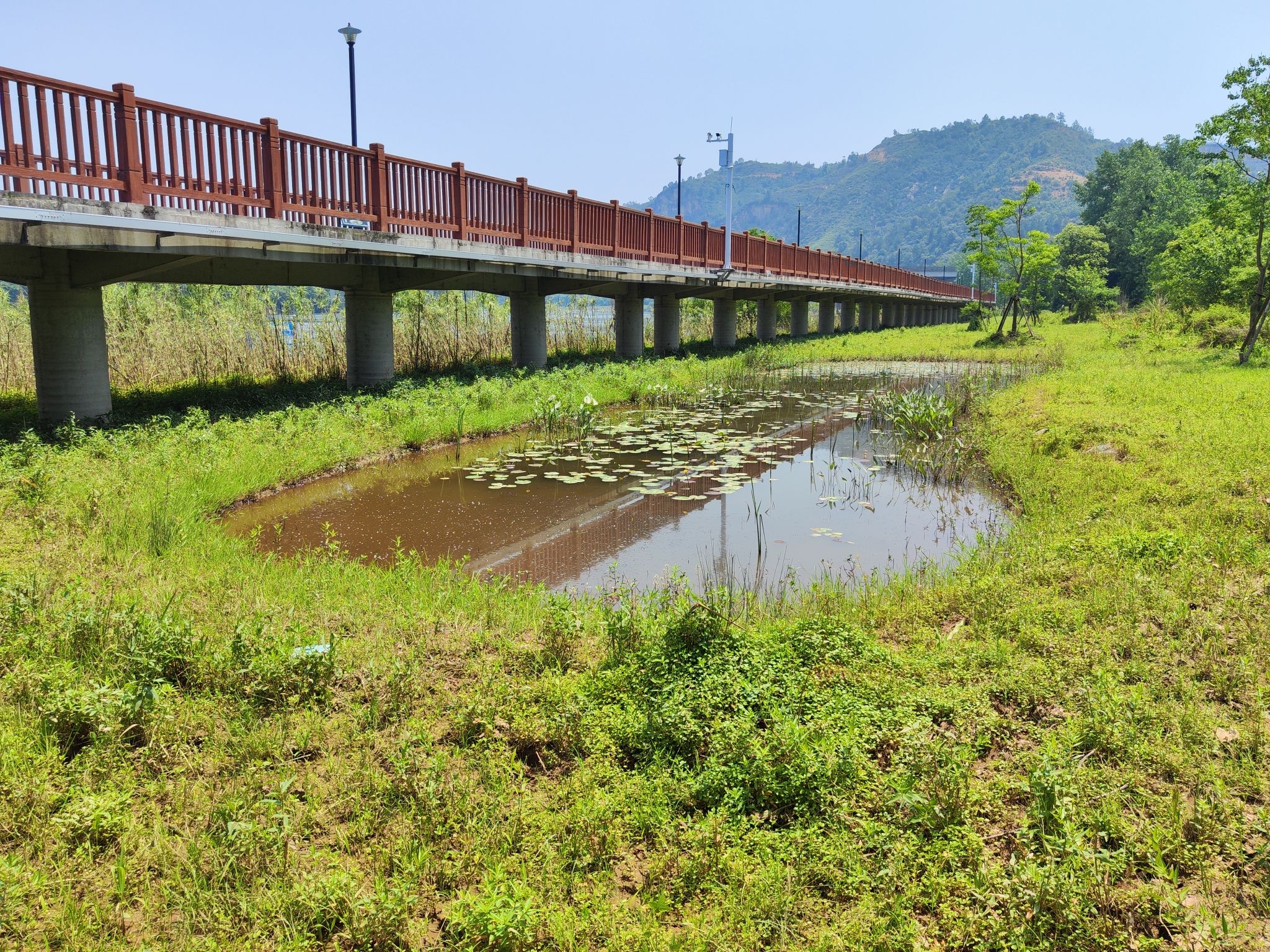 吉水湿地公园