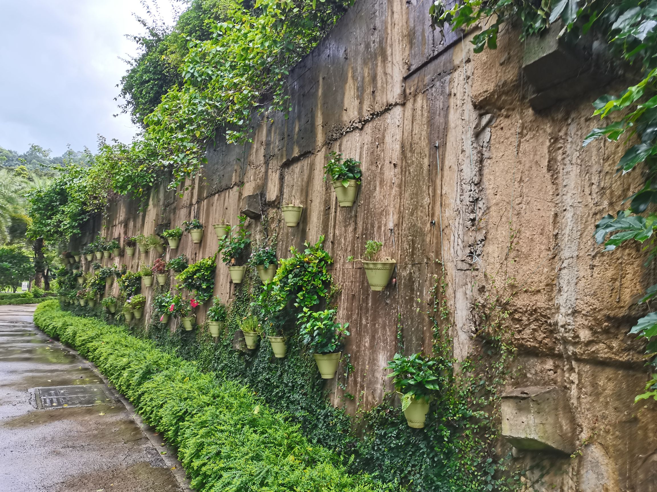 惠州植物园旅行图片 2