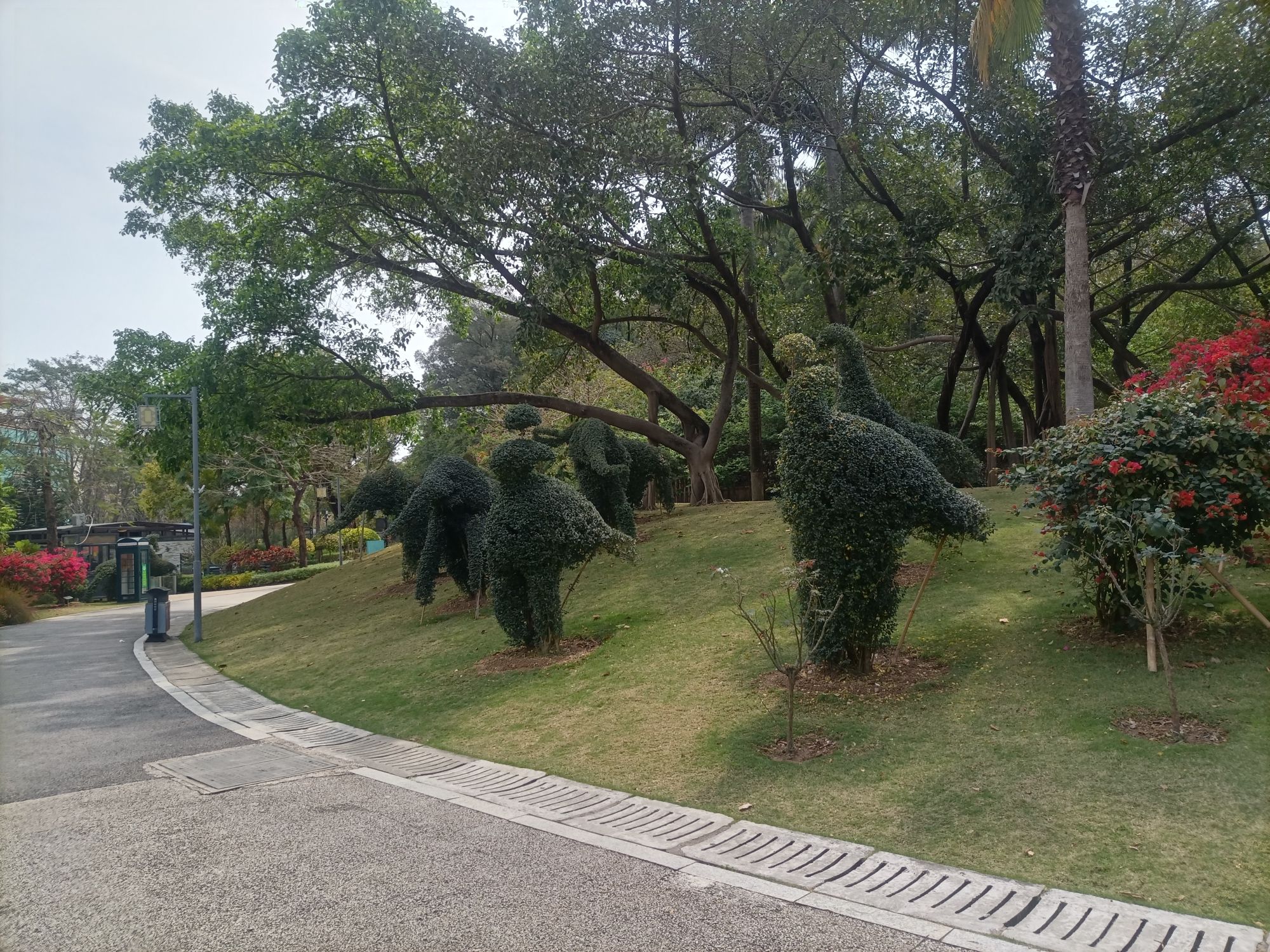 惠州植物园旅行图片 1