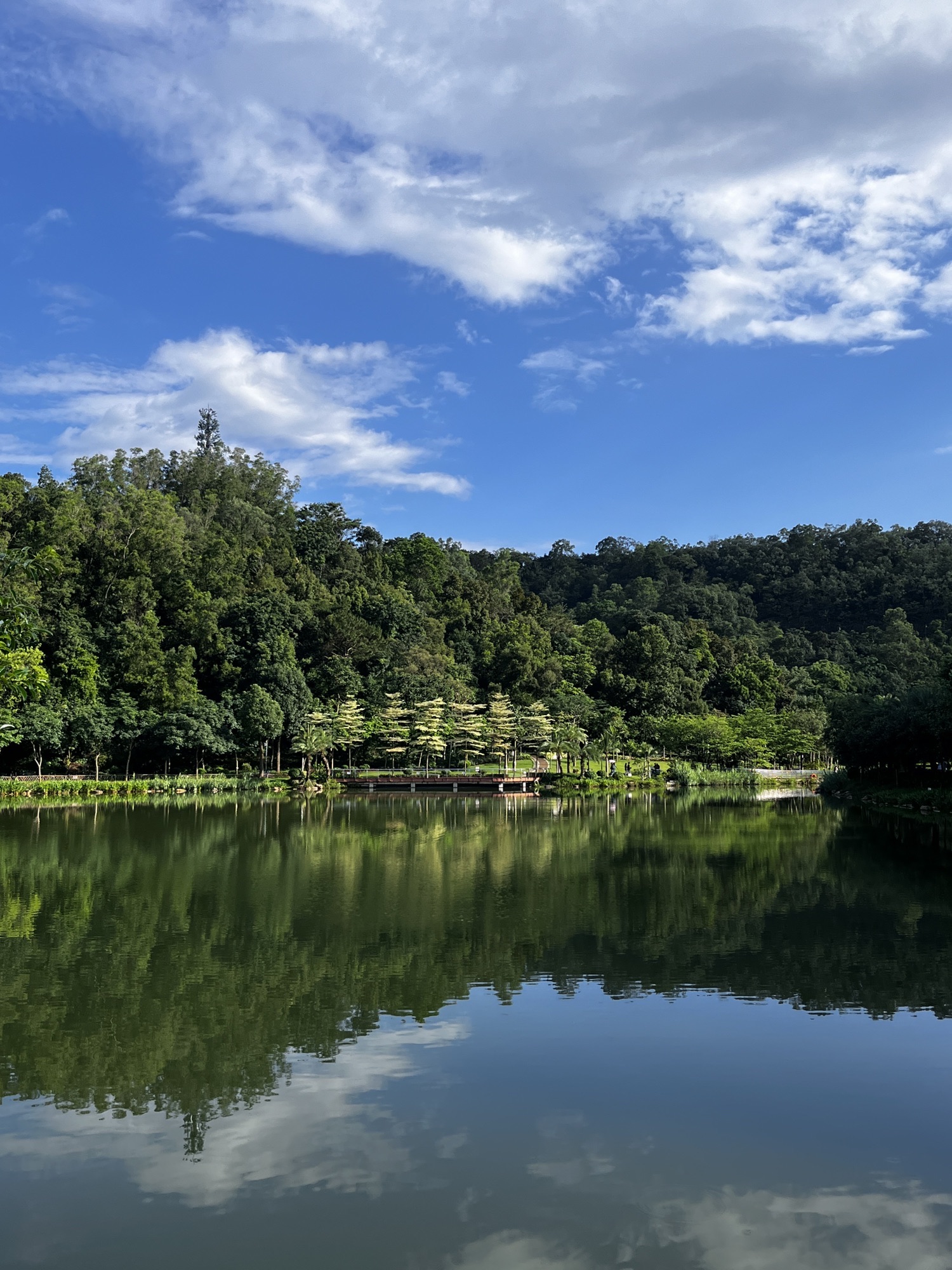 惠州植物园旅行图片 2