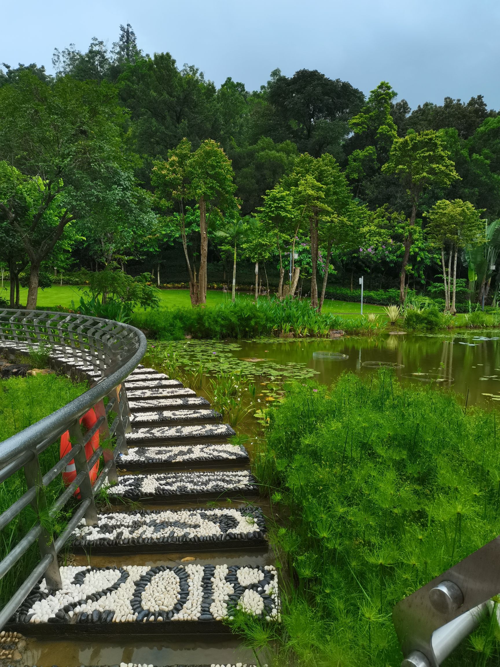 惠州植物园旅行图片 3