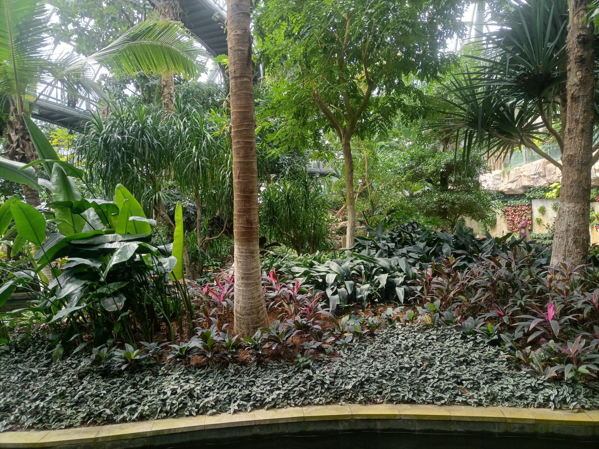 惠州植物园旅行图片 2