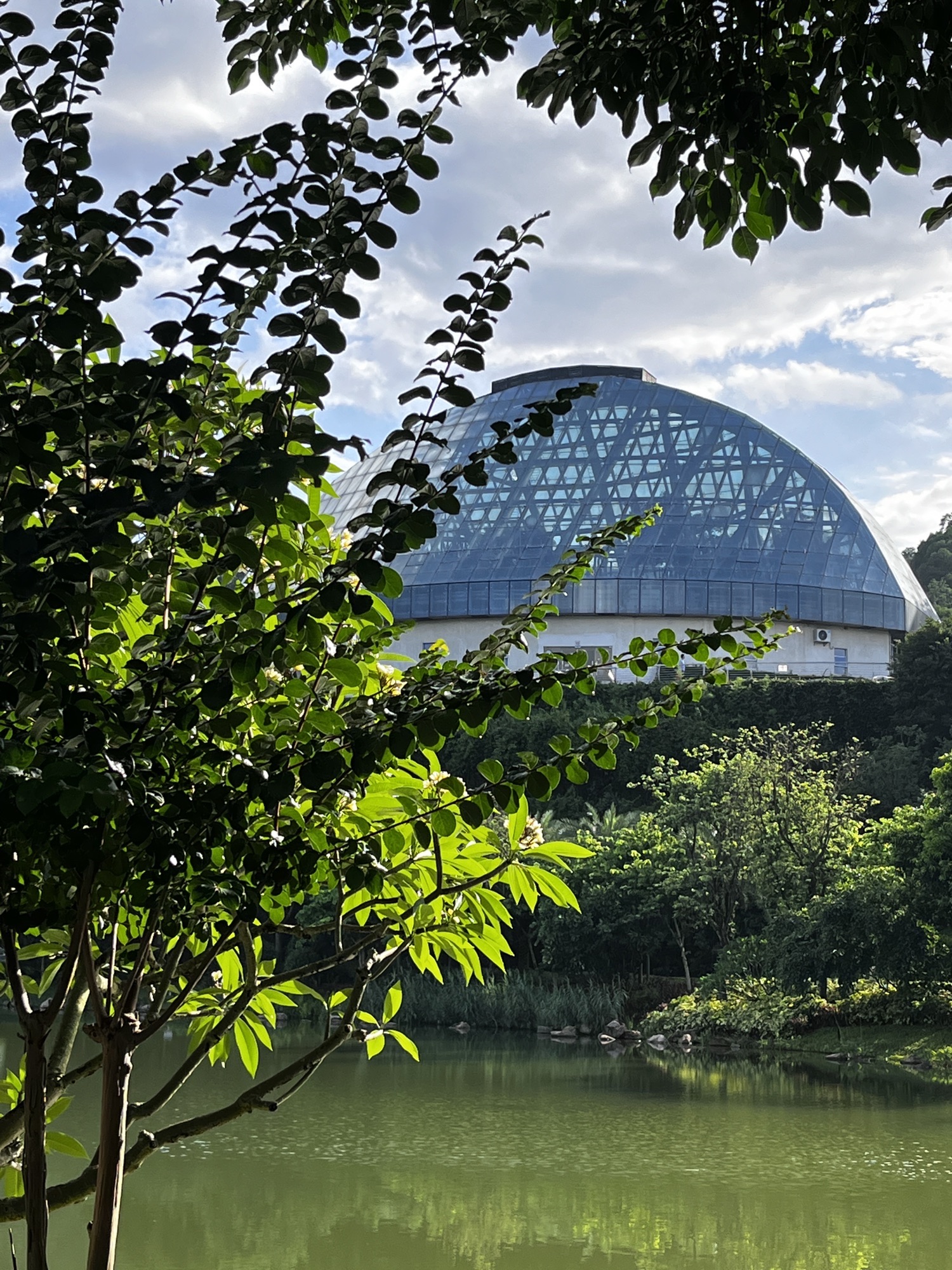 惠州植物园旅行图片 1