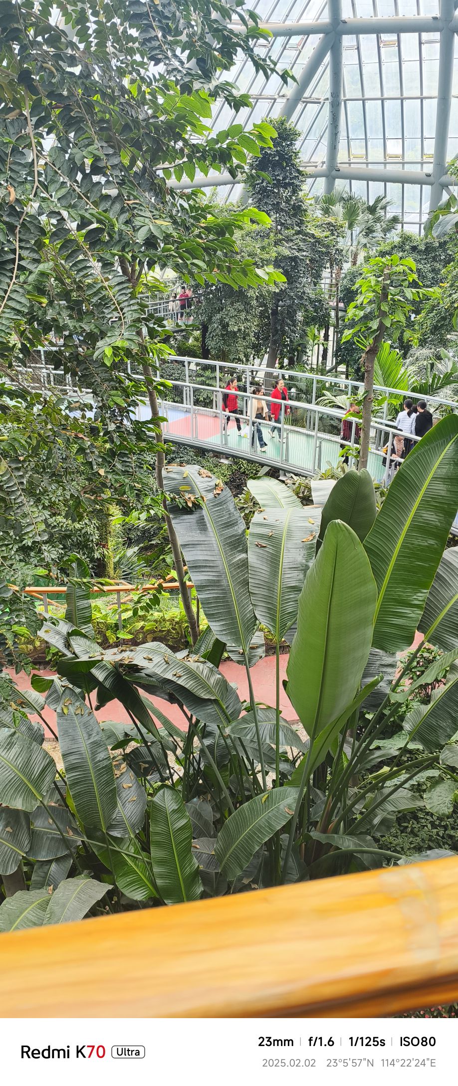 惠州植物园旅行图片 3