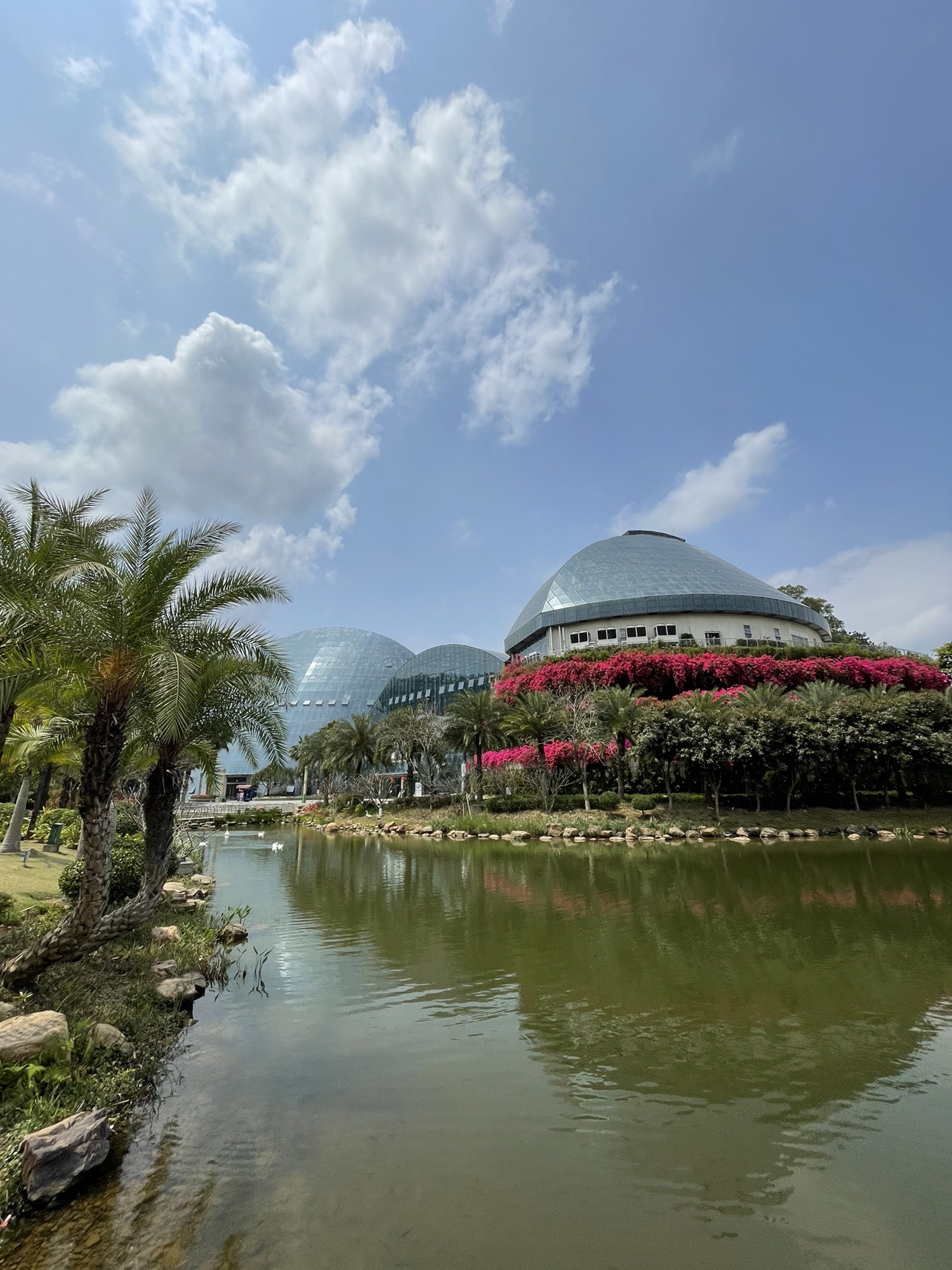 惠州植物园旅行图片 2