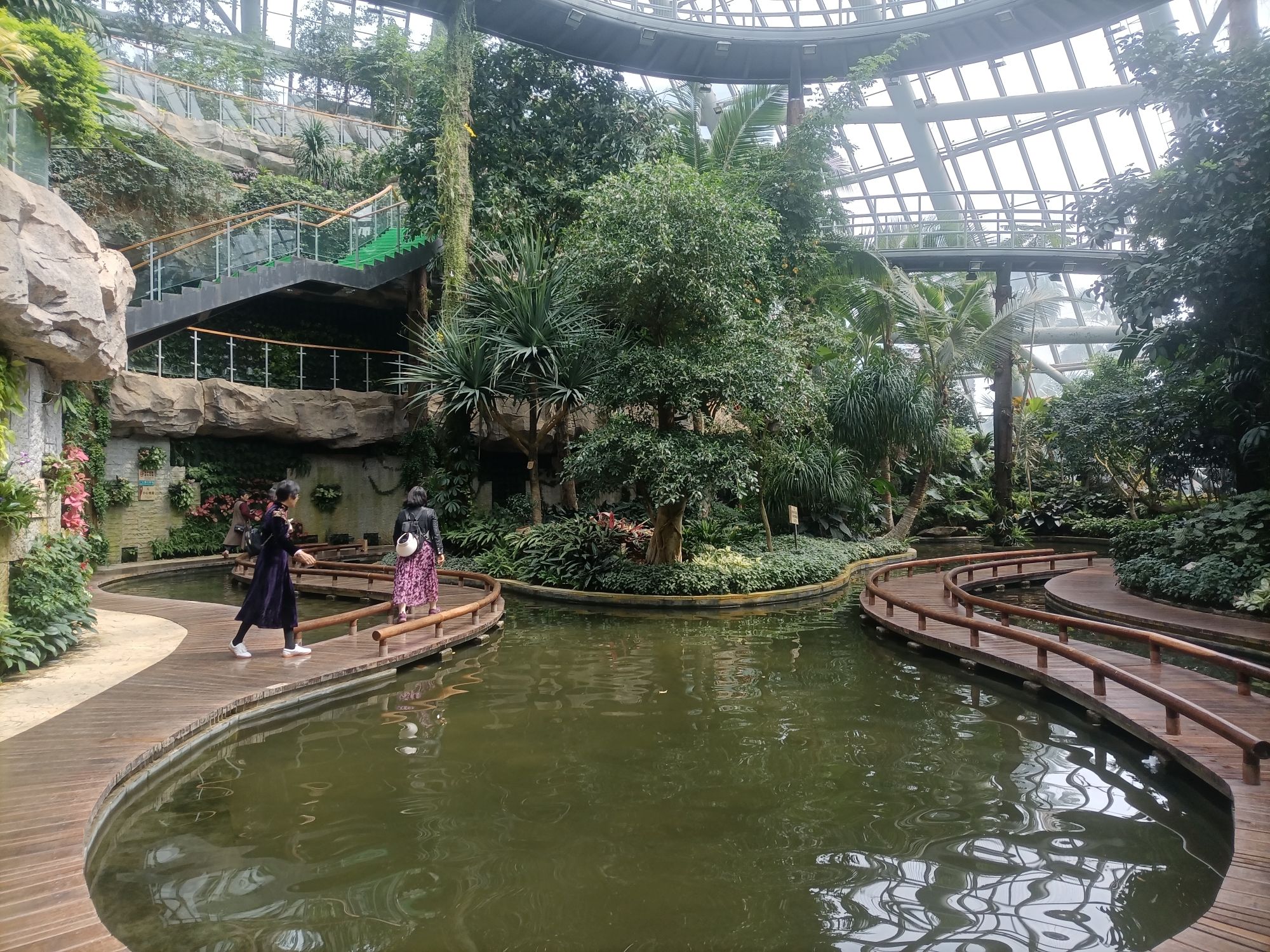 惠州植物园旅行图片 3
