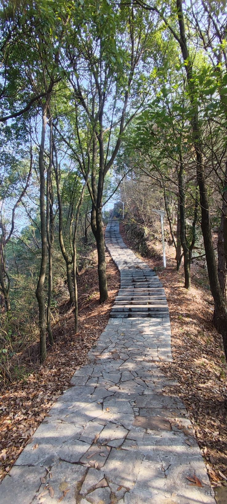 慈利龙峰公园旅行图片 1