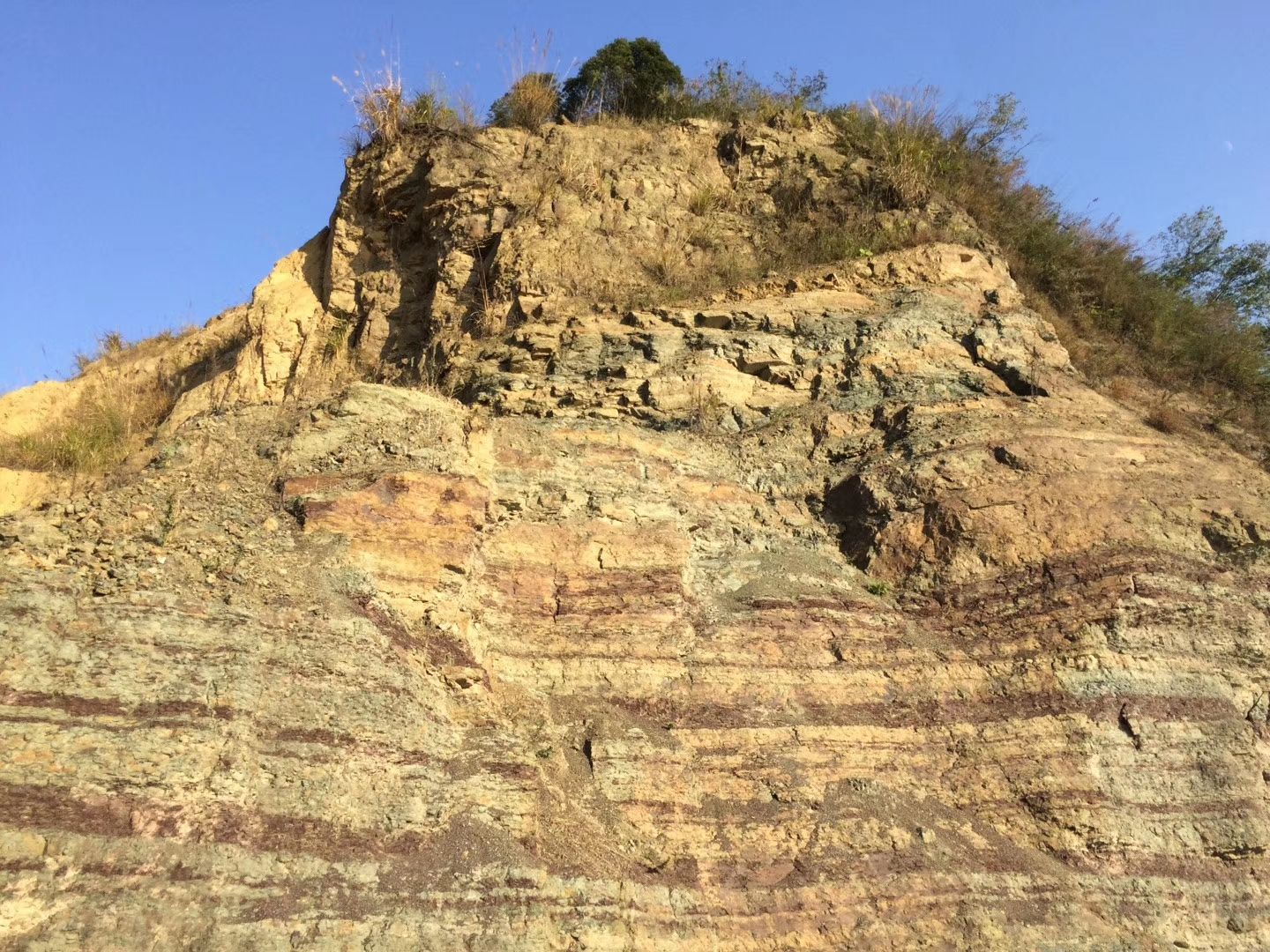 慈利龙峰公园旅行图片 3
