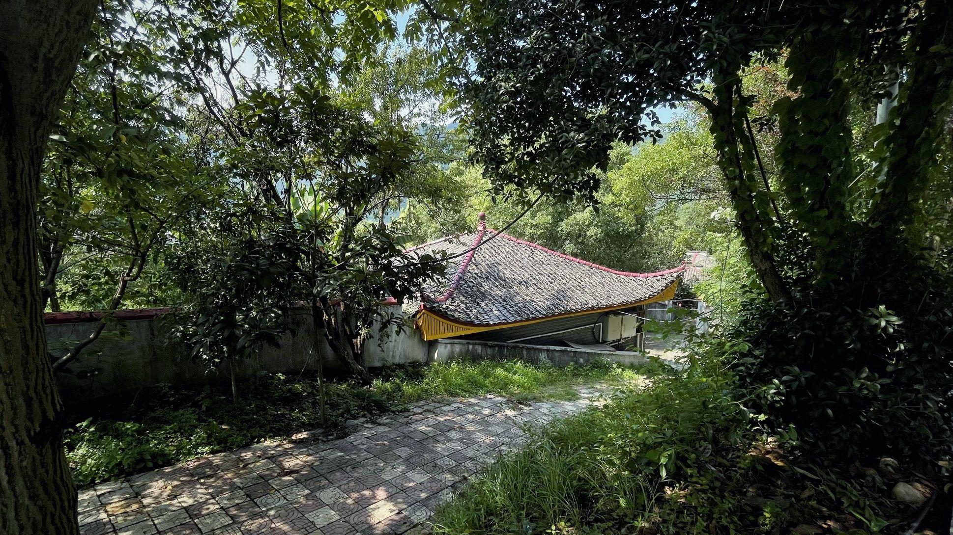 慈利龙峰公园旅行图片 3