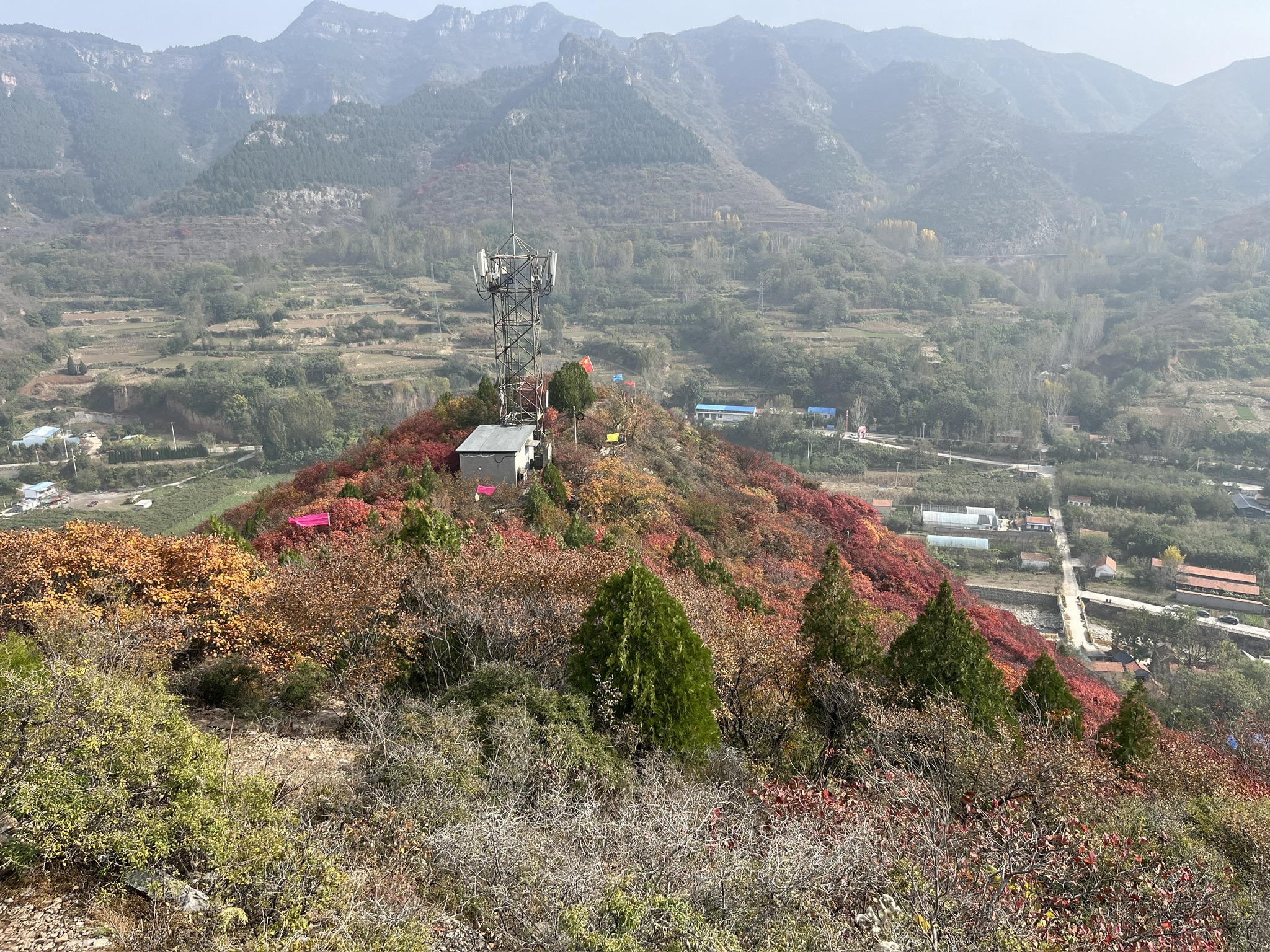 青州海岱红叶谷旅行图片 1