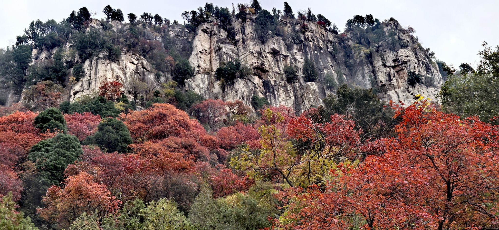 青州海岱红叶谷旅行图片 3