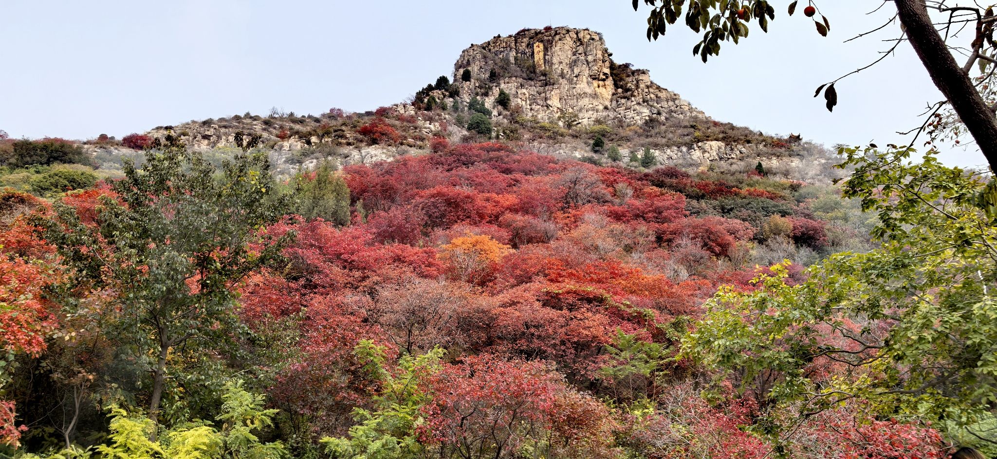 青州海岱红叶谷旅行图片 2