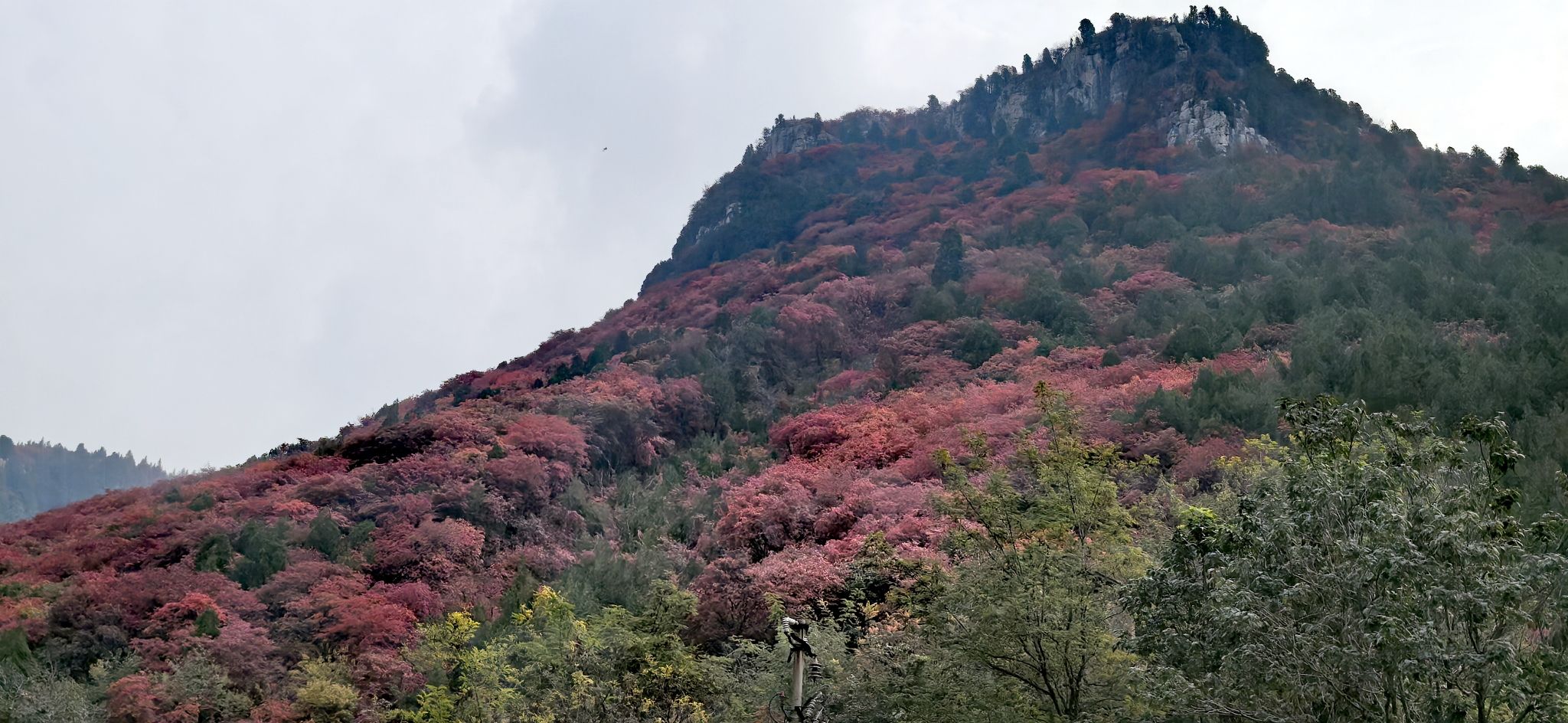 青州海岱红叶谷旅行图片 1
