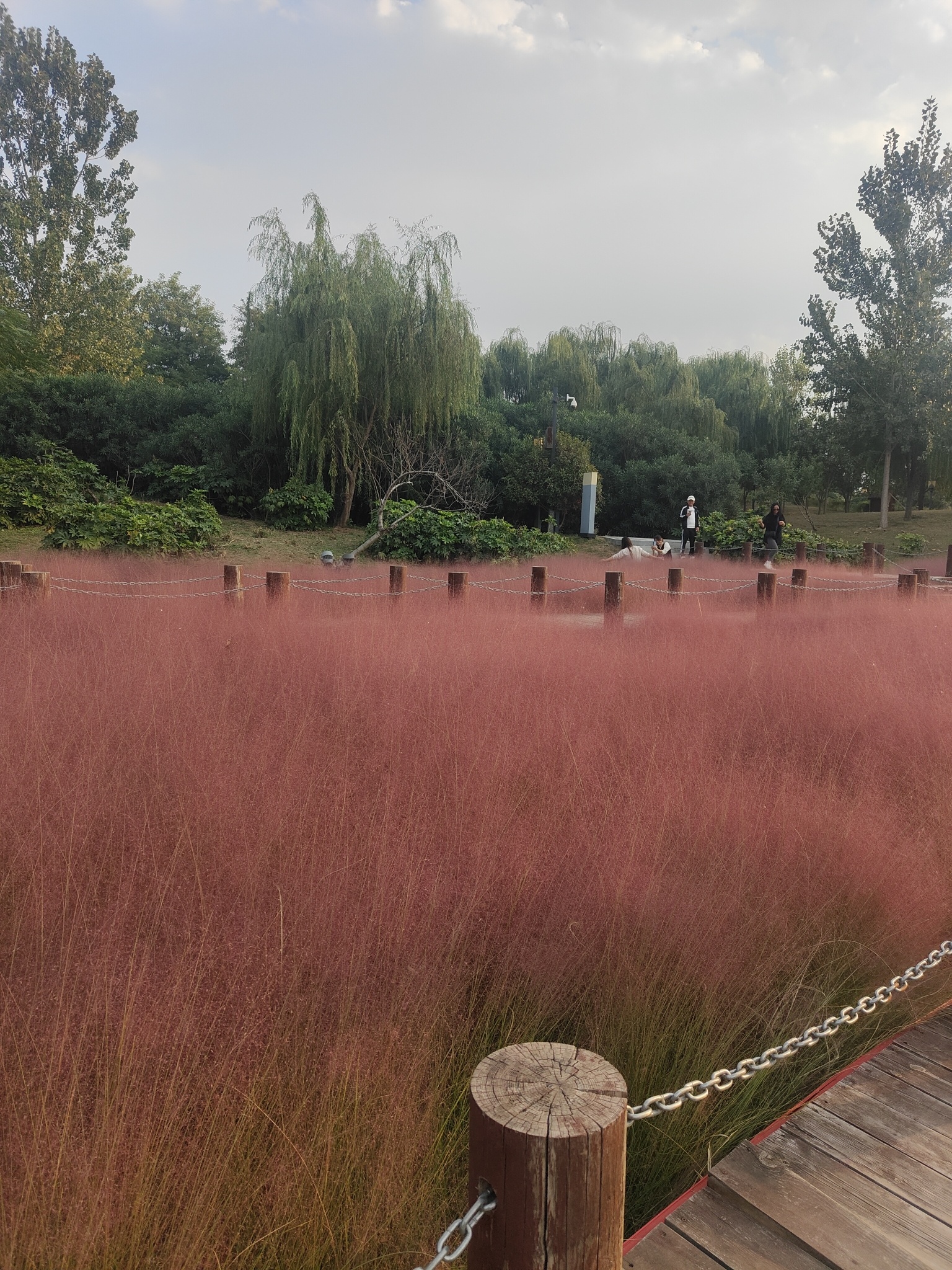 开封银滩旅行图片 2