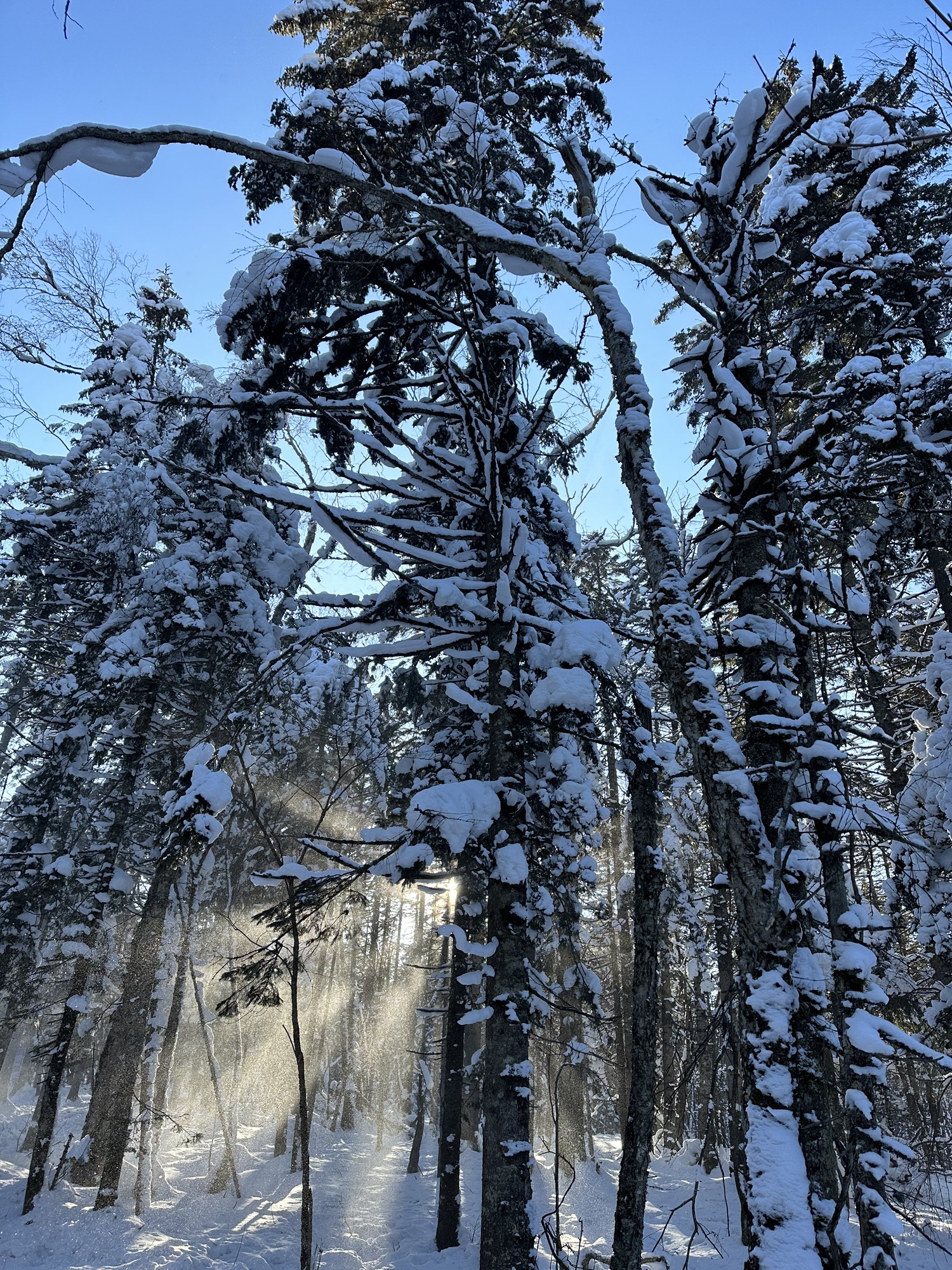 老里克湖旅行图片 2