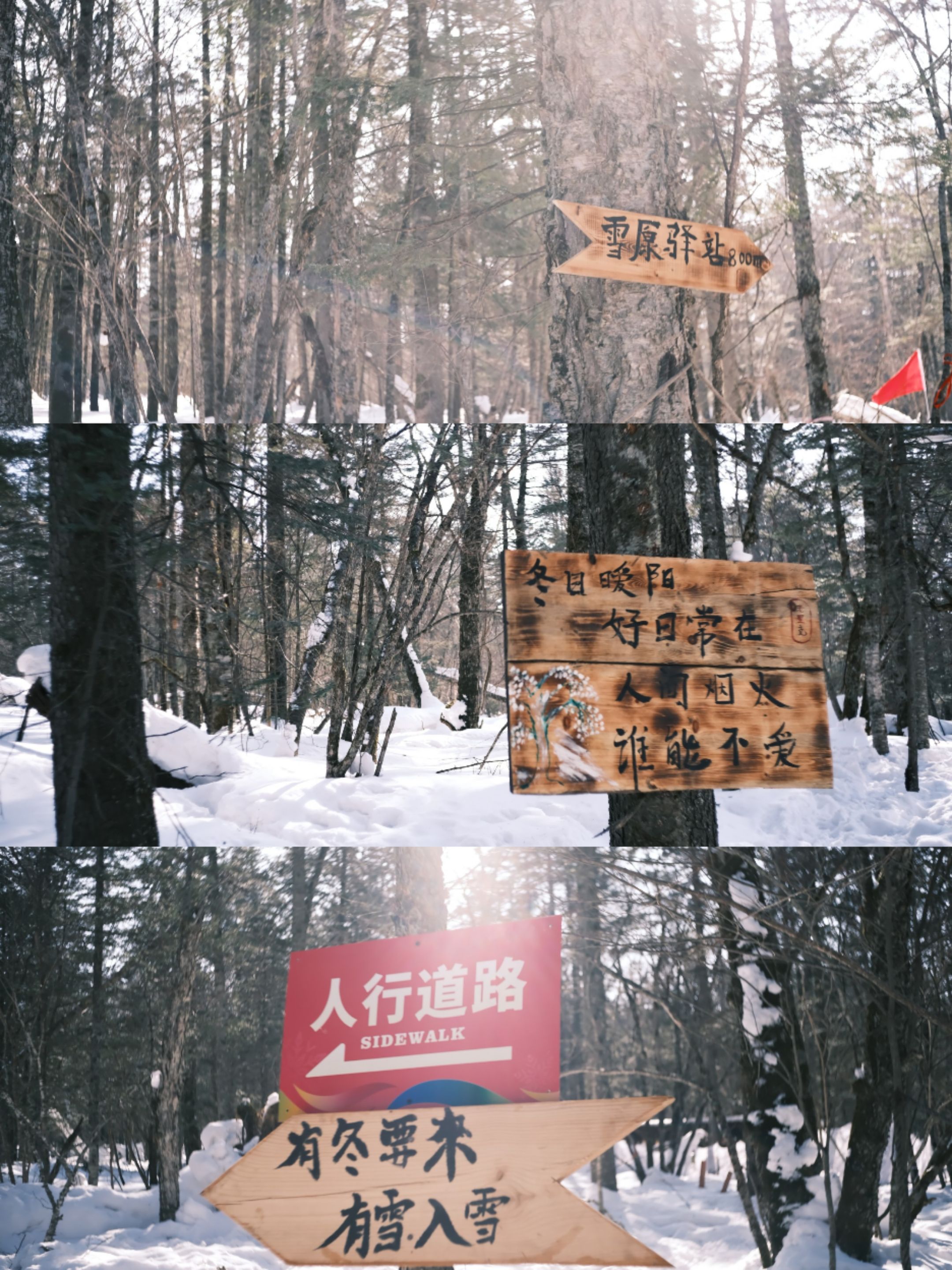 老里克湖旅行图片 1