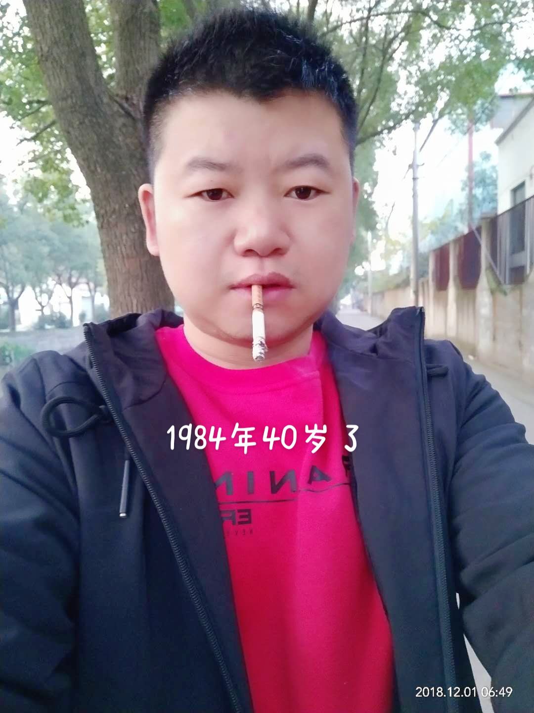 逍林公园旅行图片 2