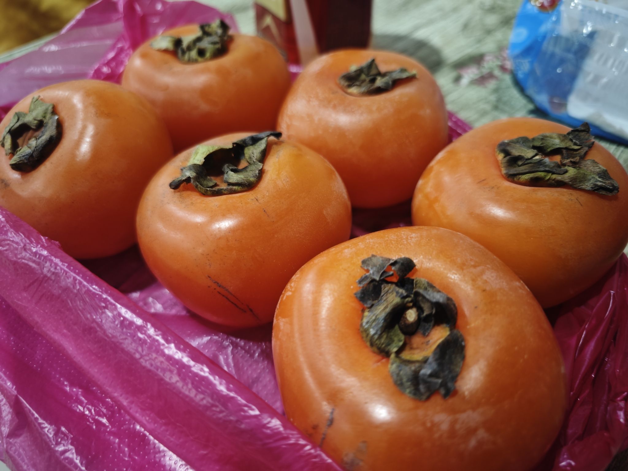 沐陂公园旅行图片 2