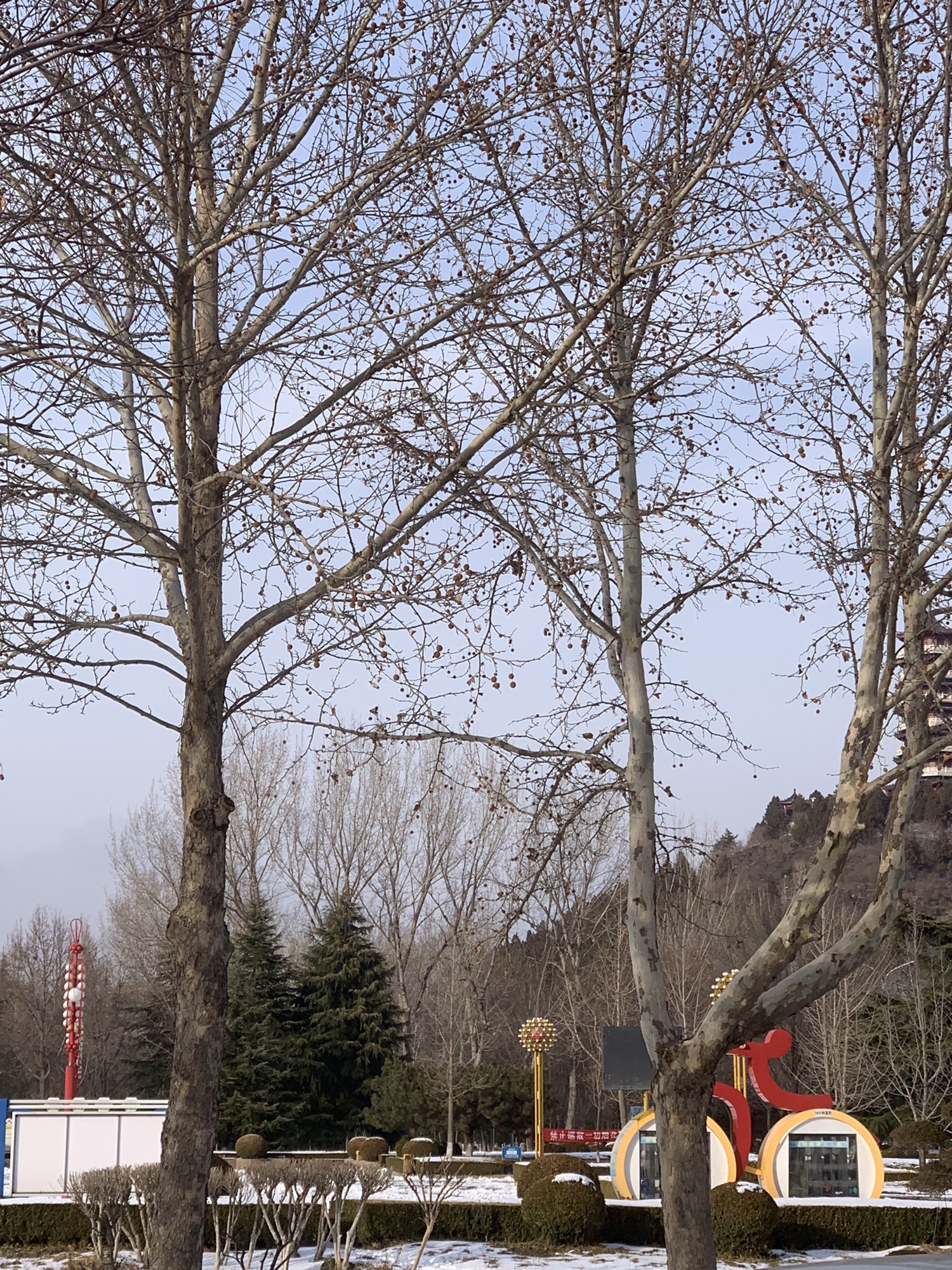 朐山滨河公园旅行图片 3