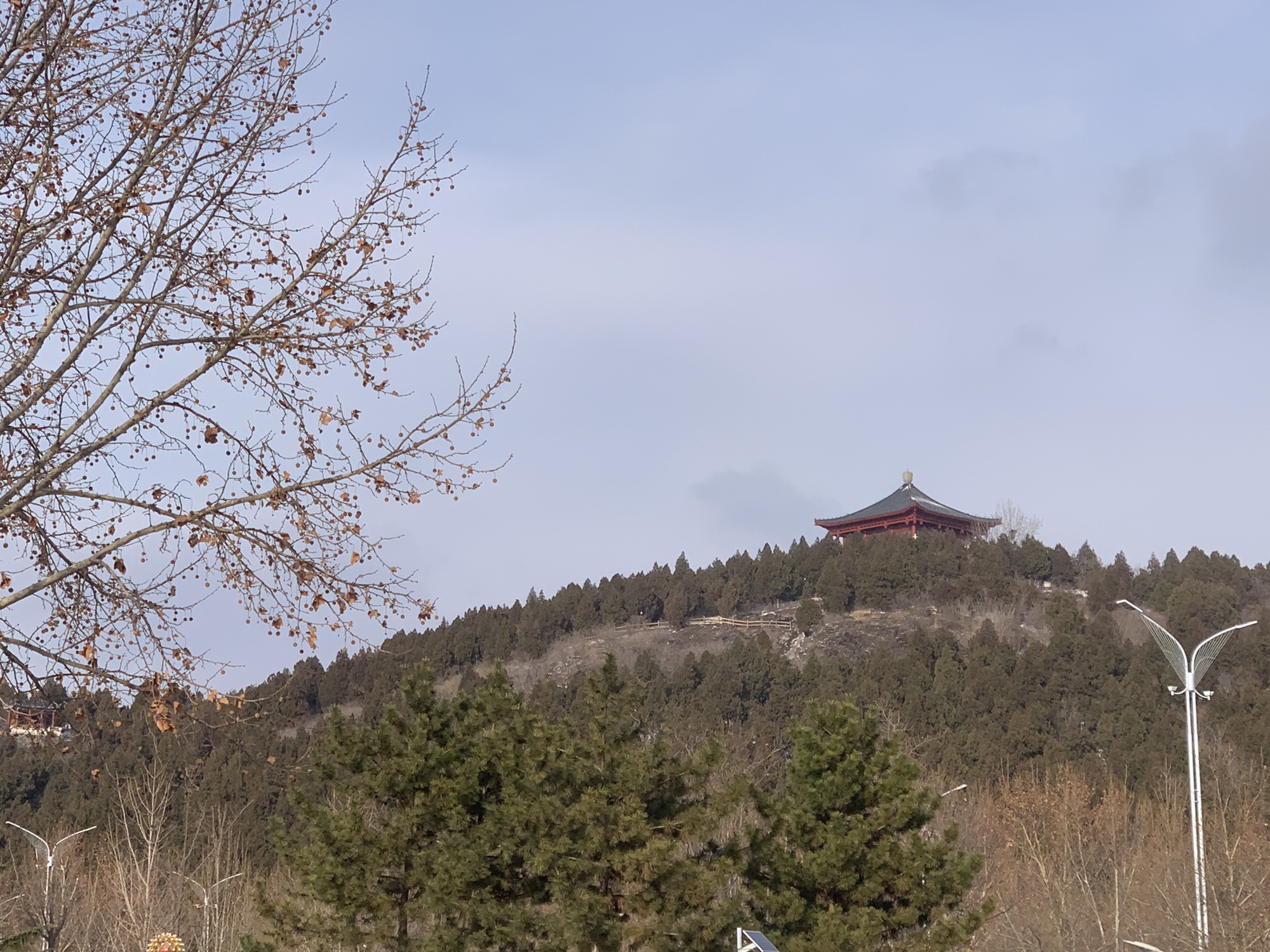朐山滨河公园旅行图片 2