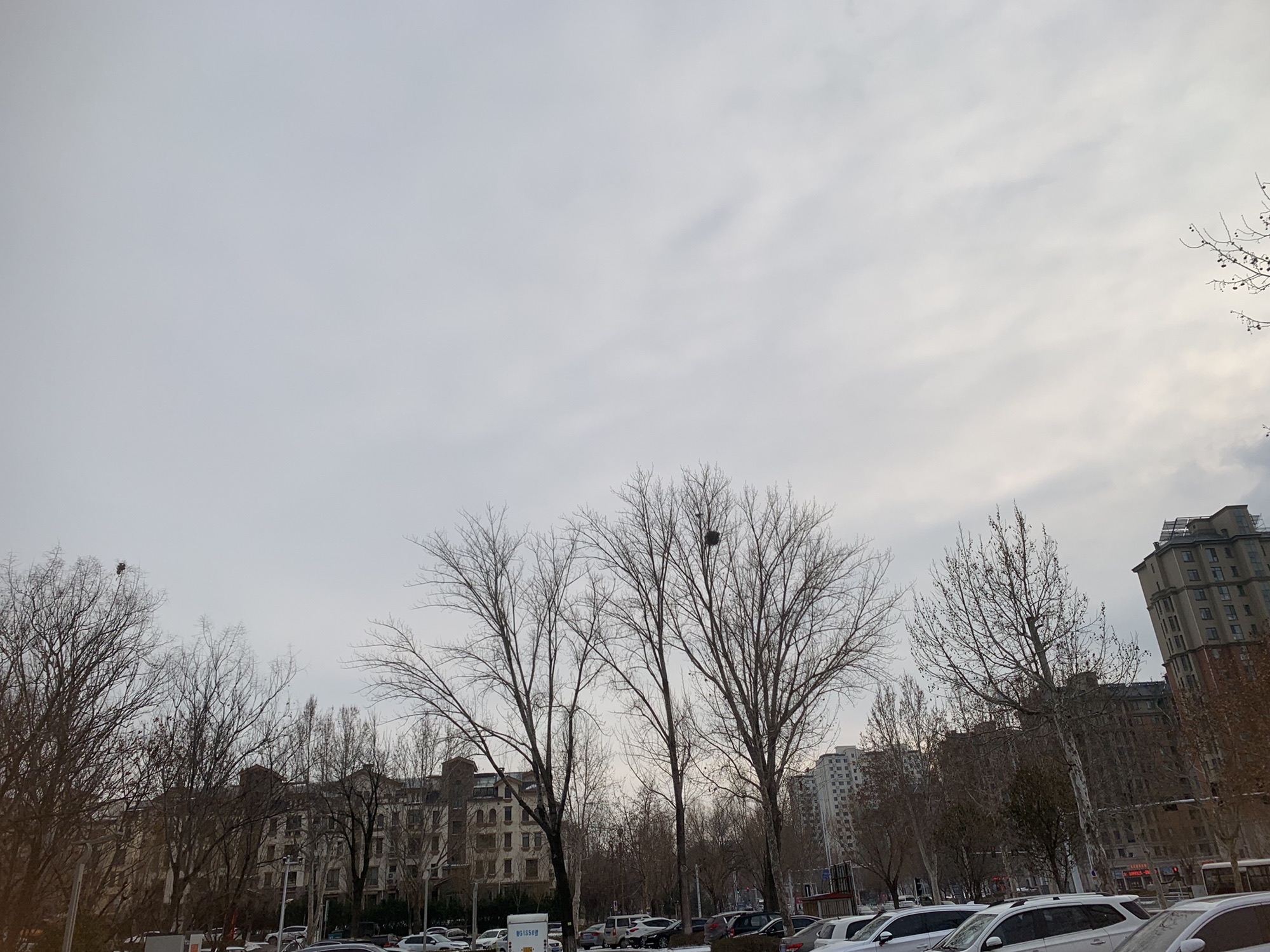 朐山滨河公园旅行图片 3