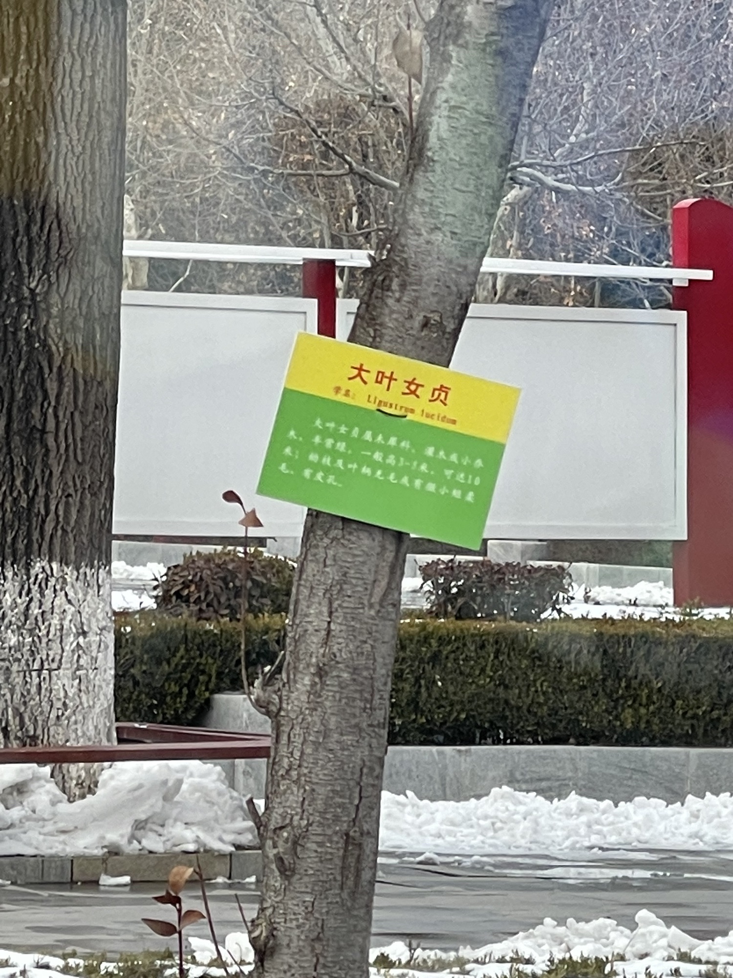 朐山滨河公园旅行图片 1