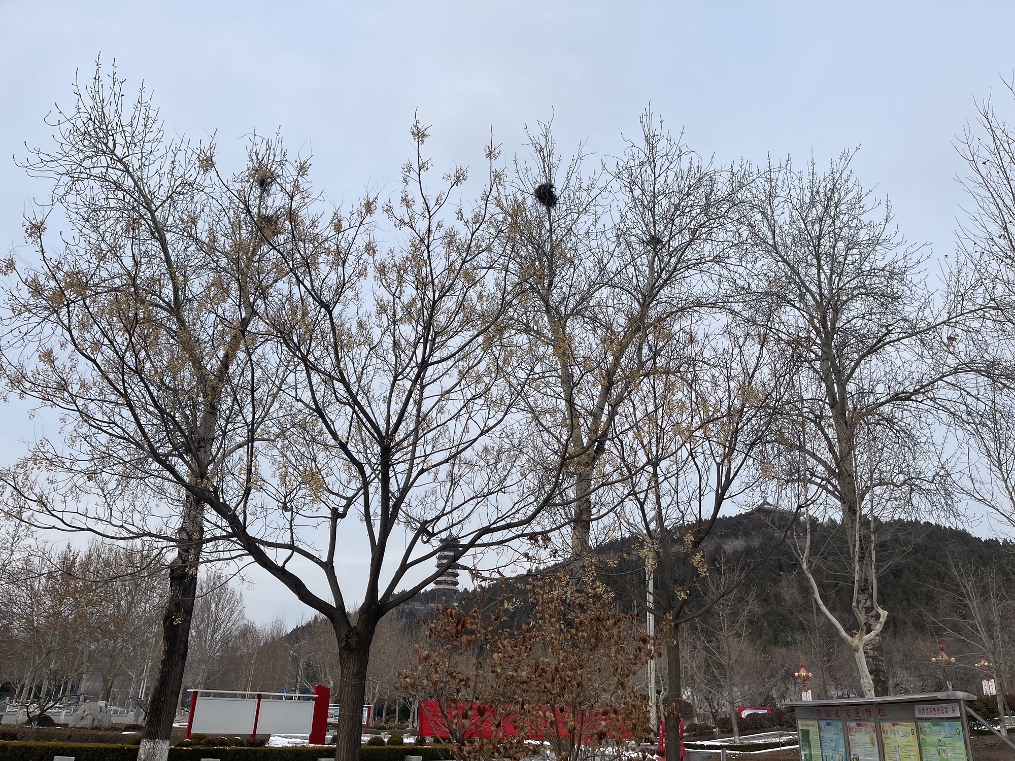 朐山滨河公园旅行图片 3