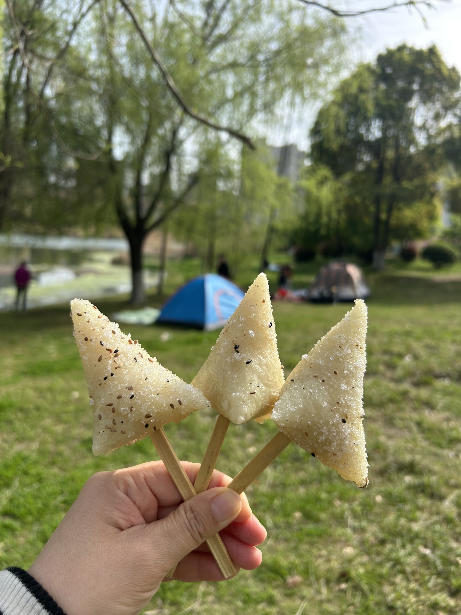 城南公园旅行图片 3