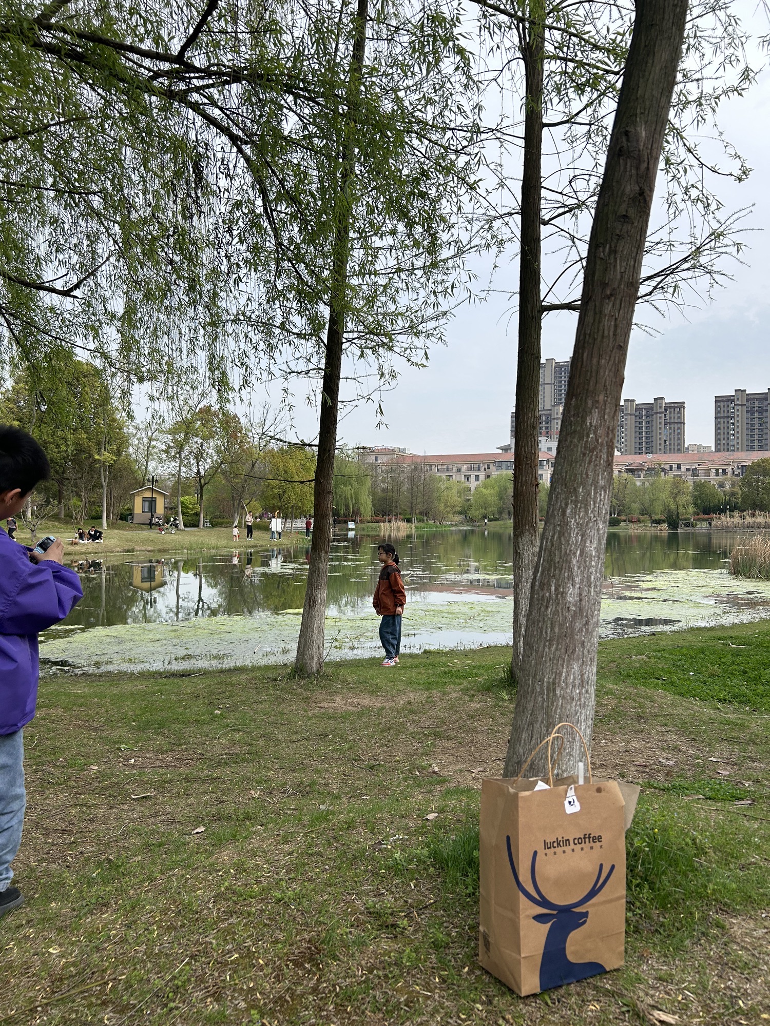 城南公园旅行图片 2