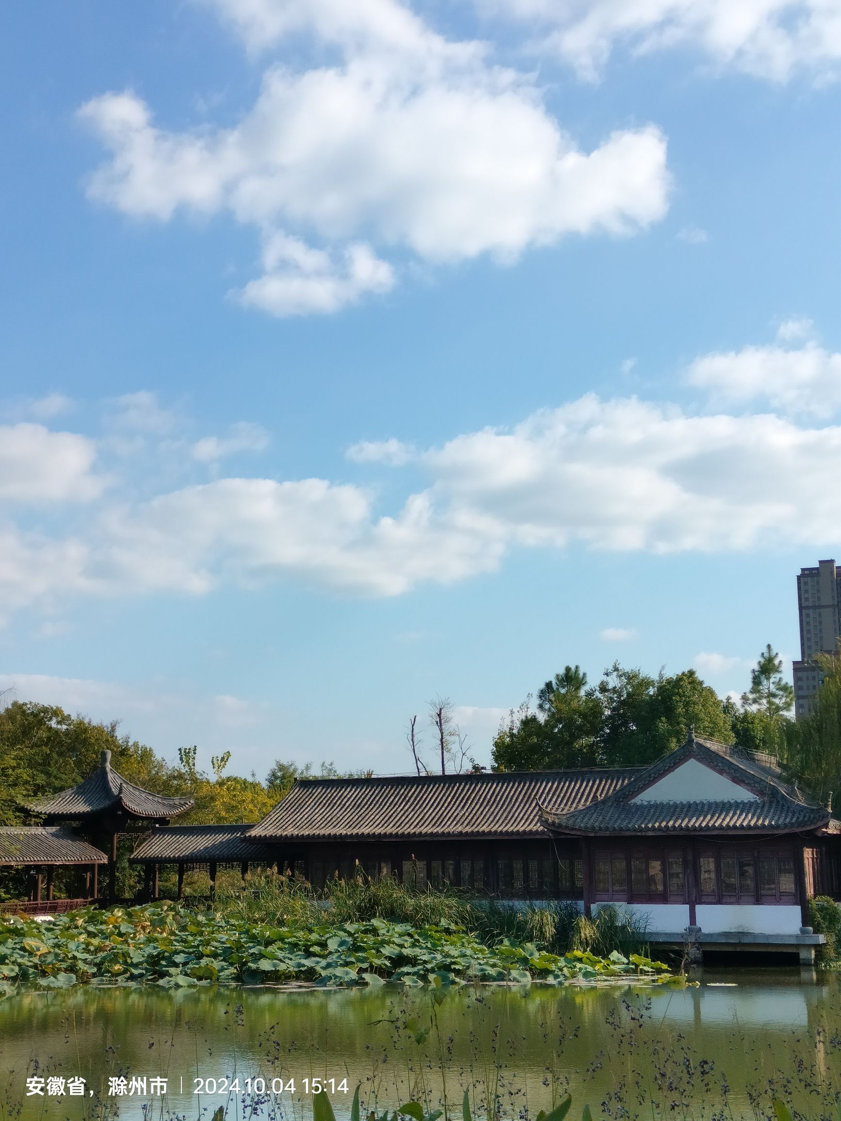 城南公园旅行图片 2