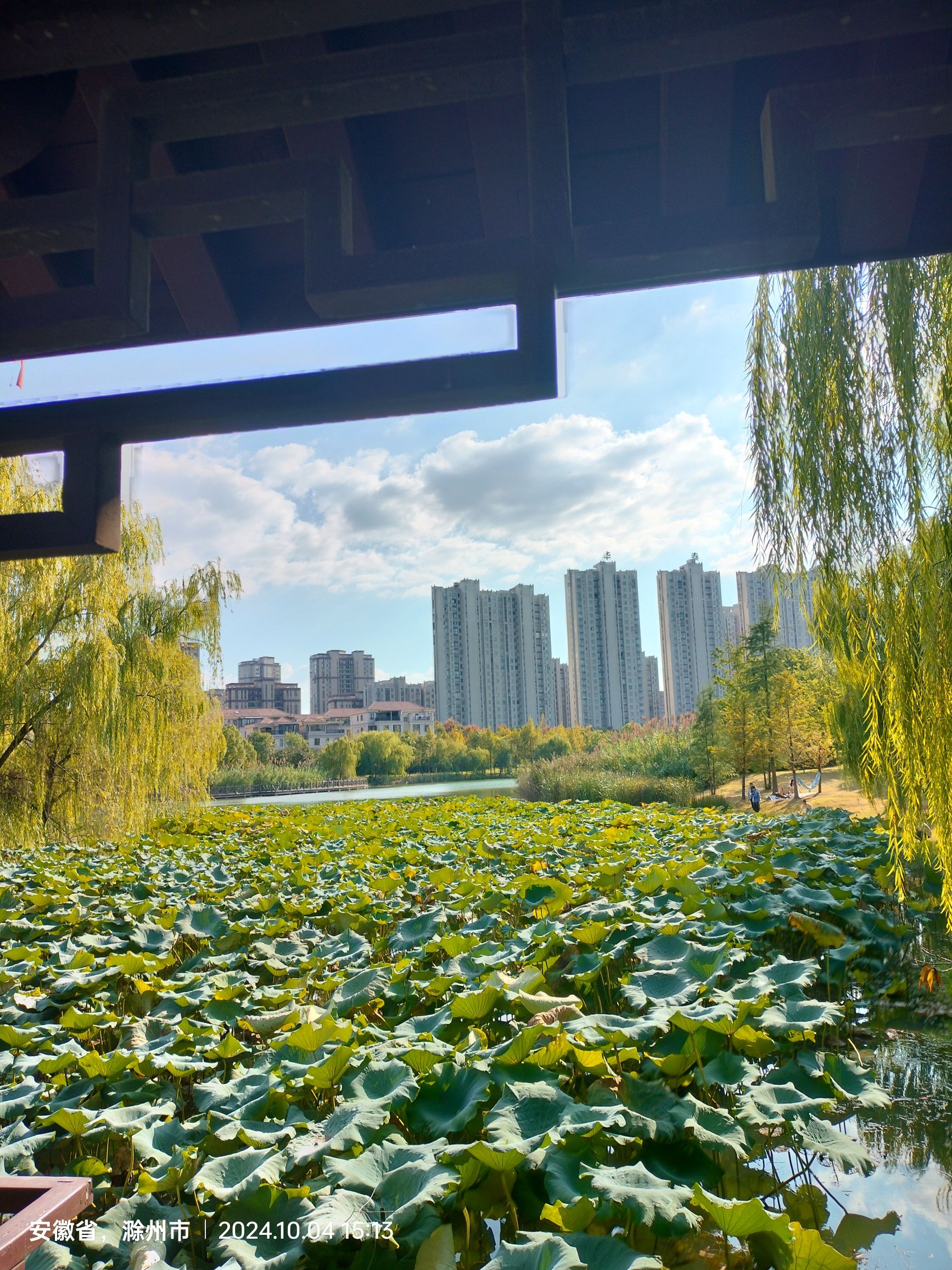城南公园旅行图片 1
