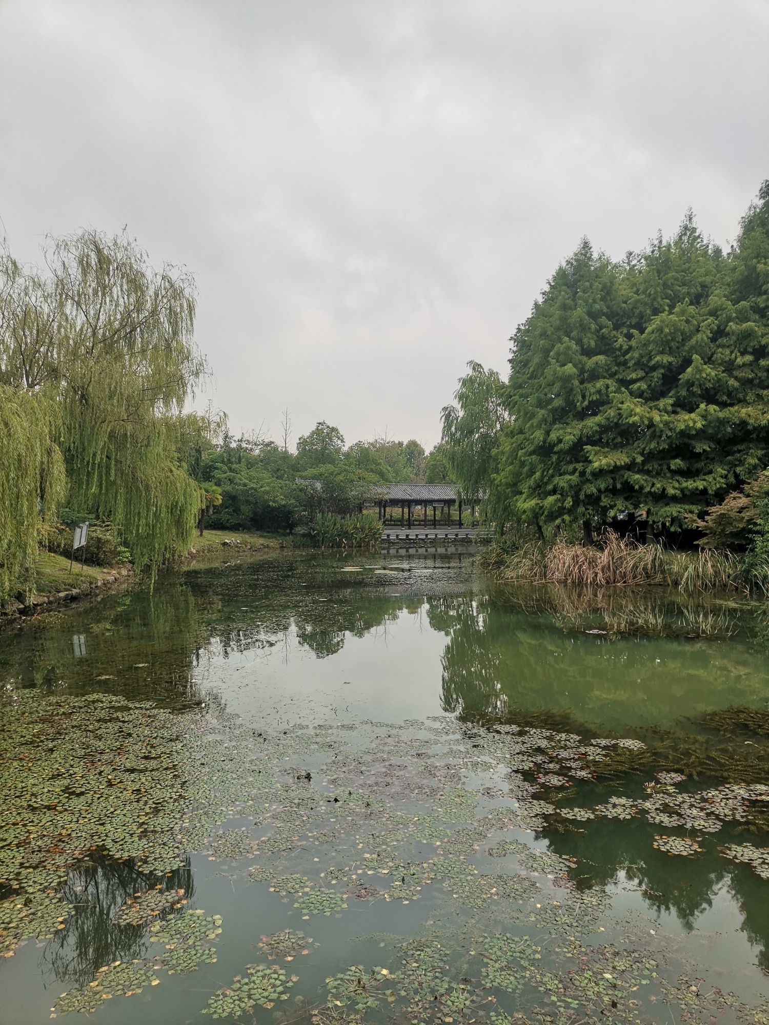 城南公园旅行图片 3