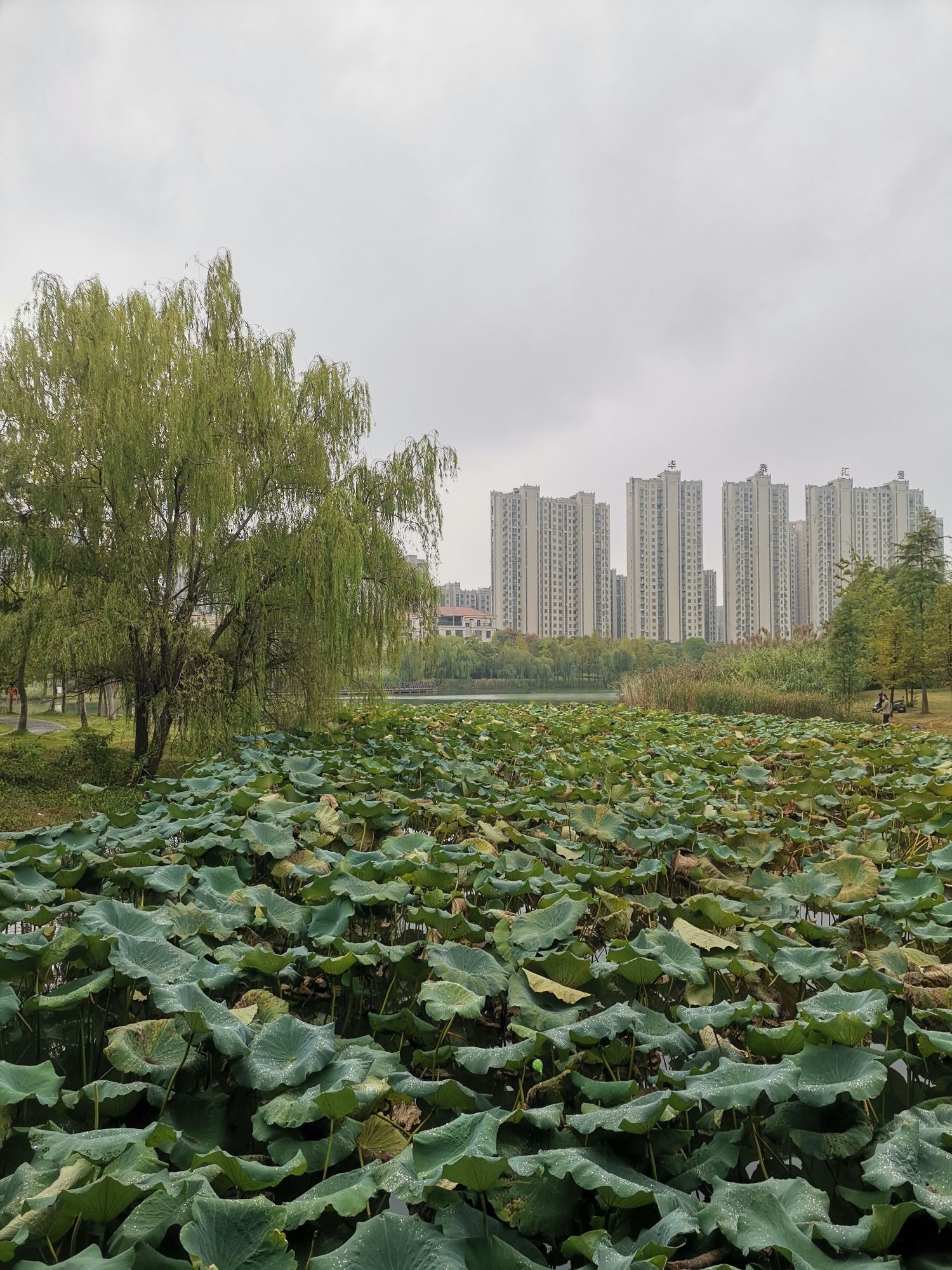 城南公园旅行图片 2
