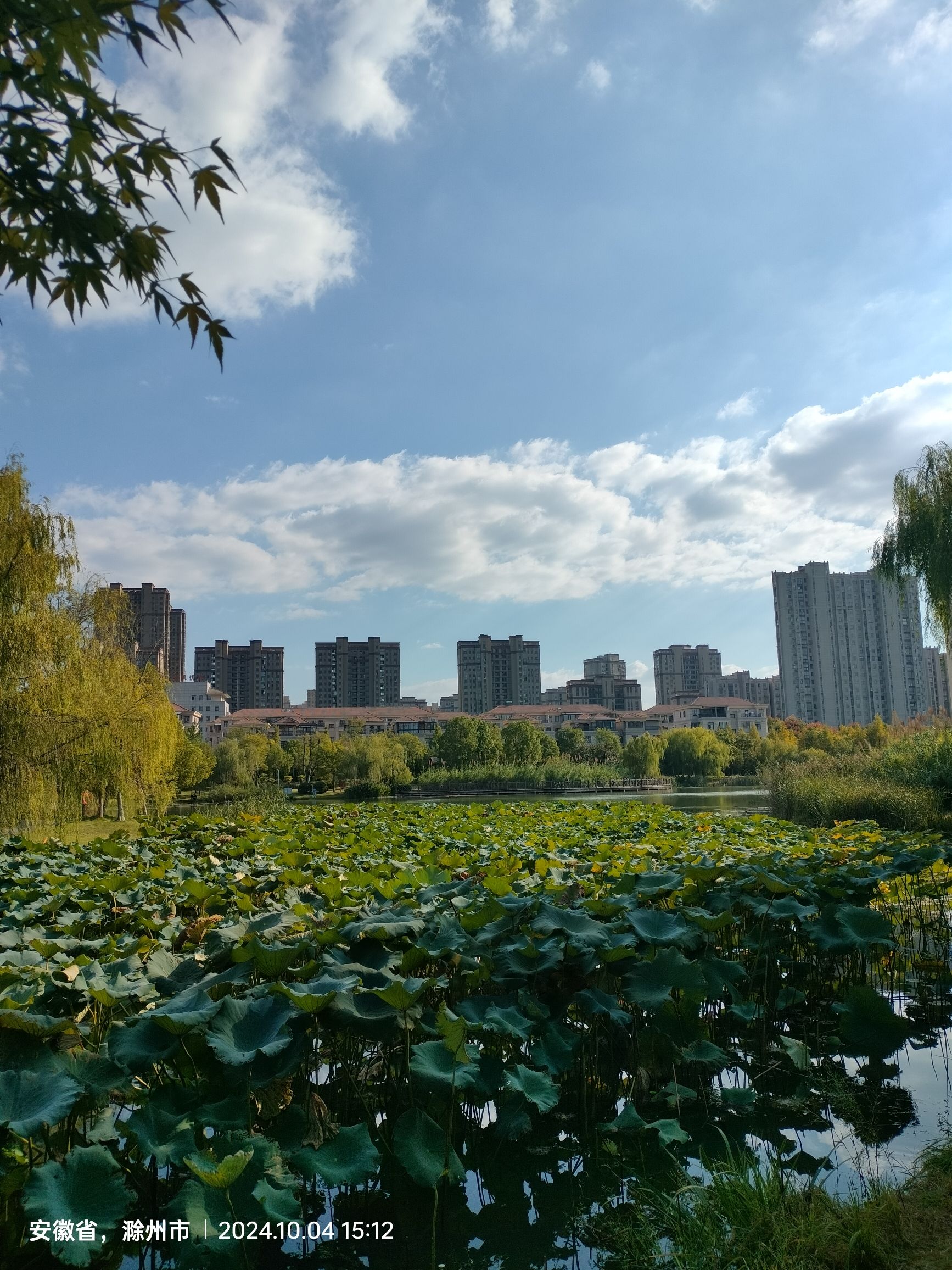 城南公园旅行图片 3
