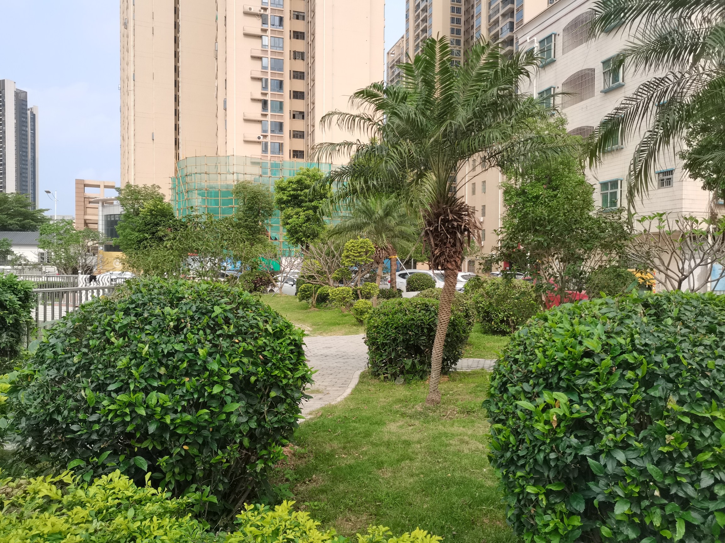 江岭远香公园旅行图片 3