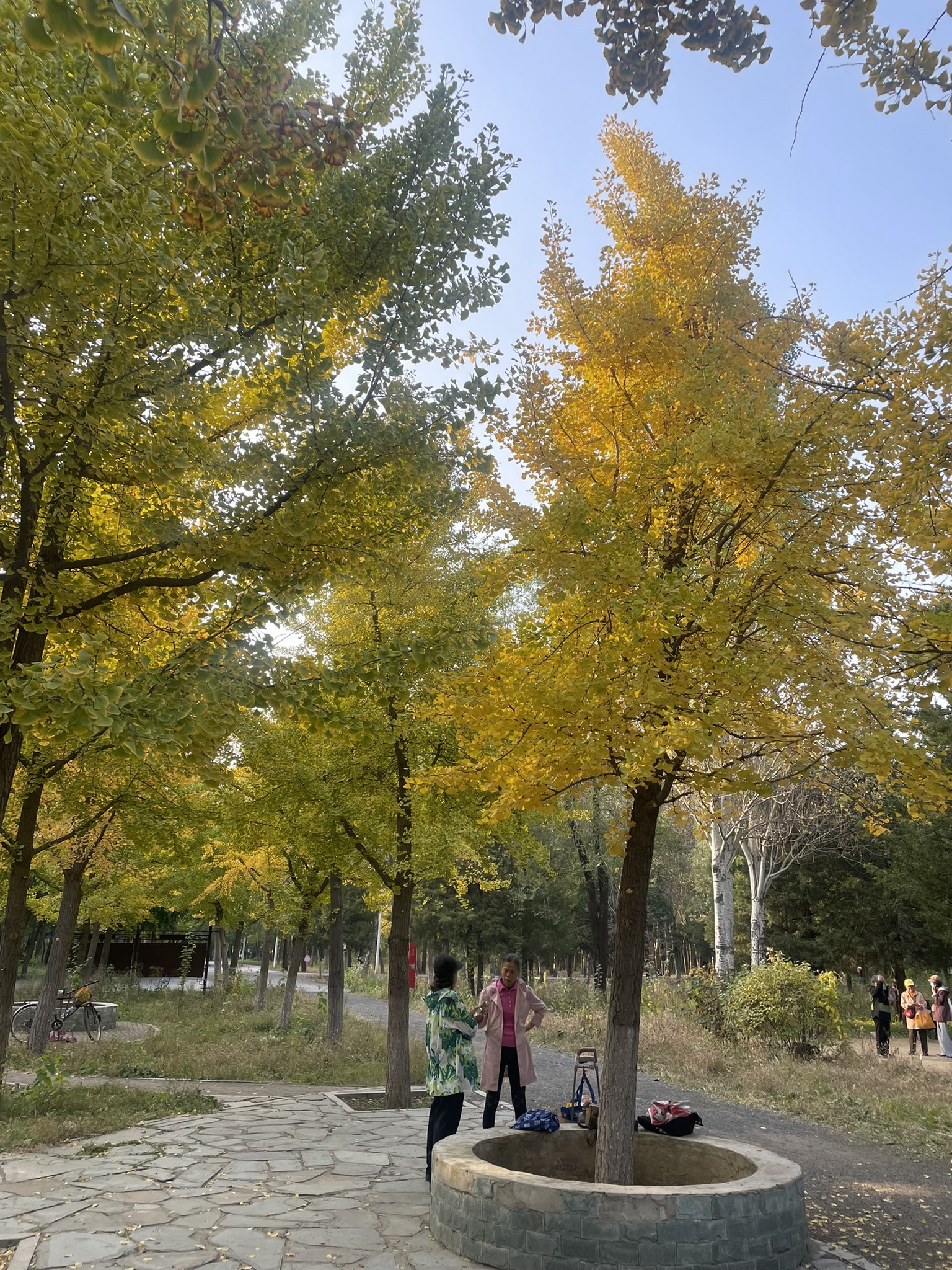铁西森林公园旅行图片 3