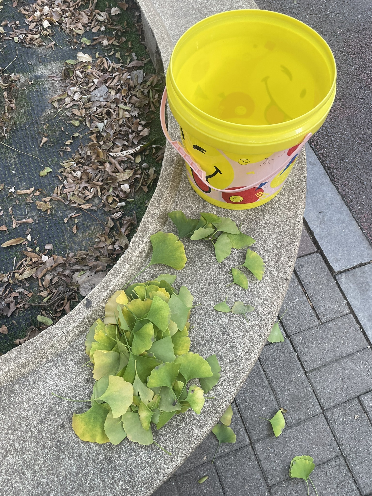 铁西森林公园旅行图片 1