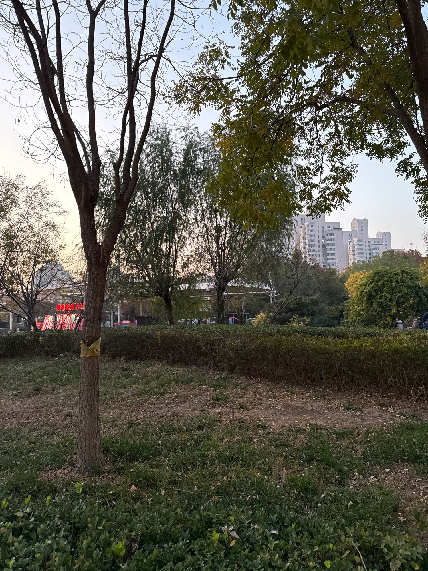 华苑人防公园旅行图片 3