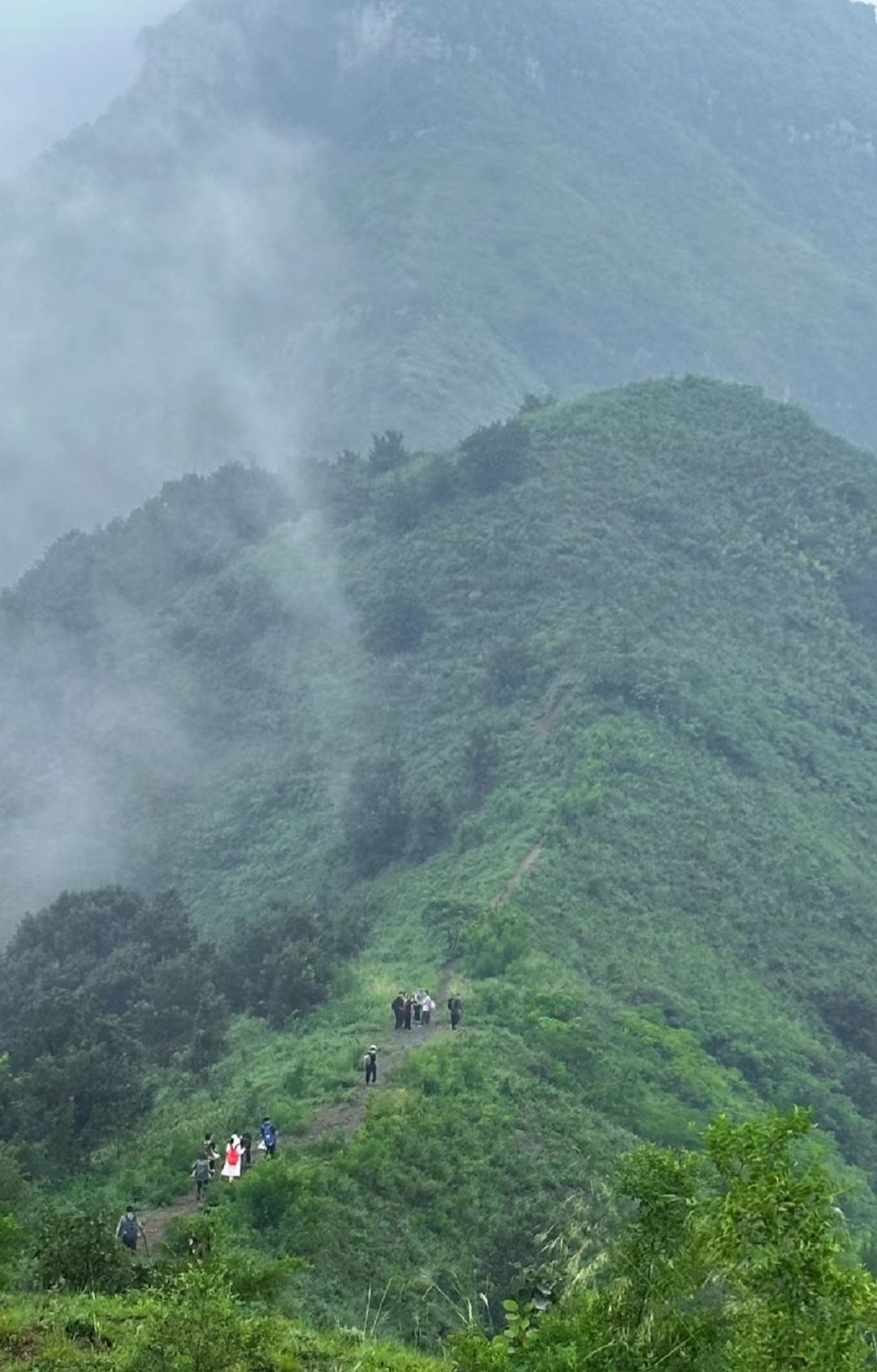 偃师黄金大草原旅行图片 2