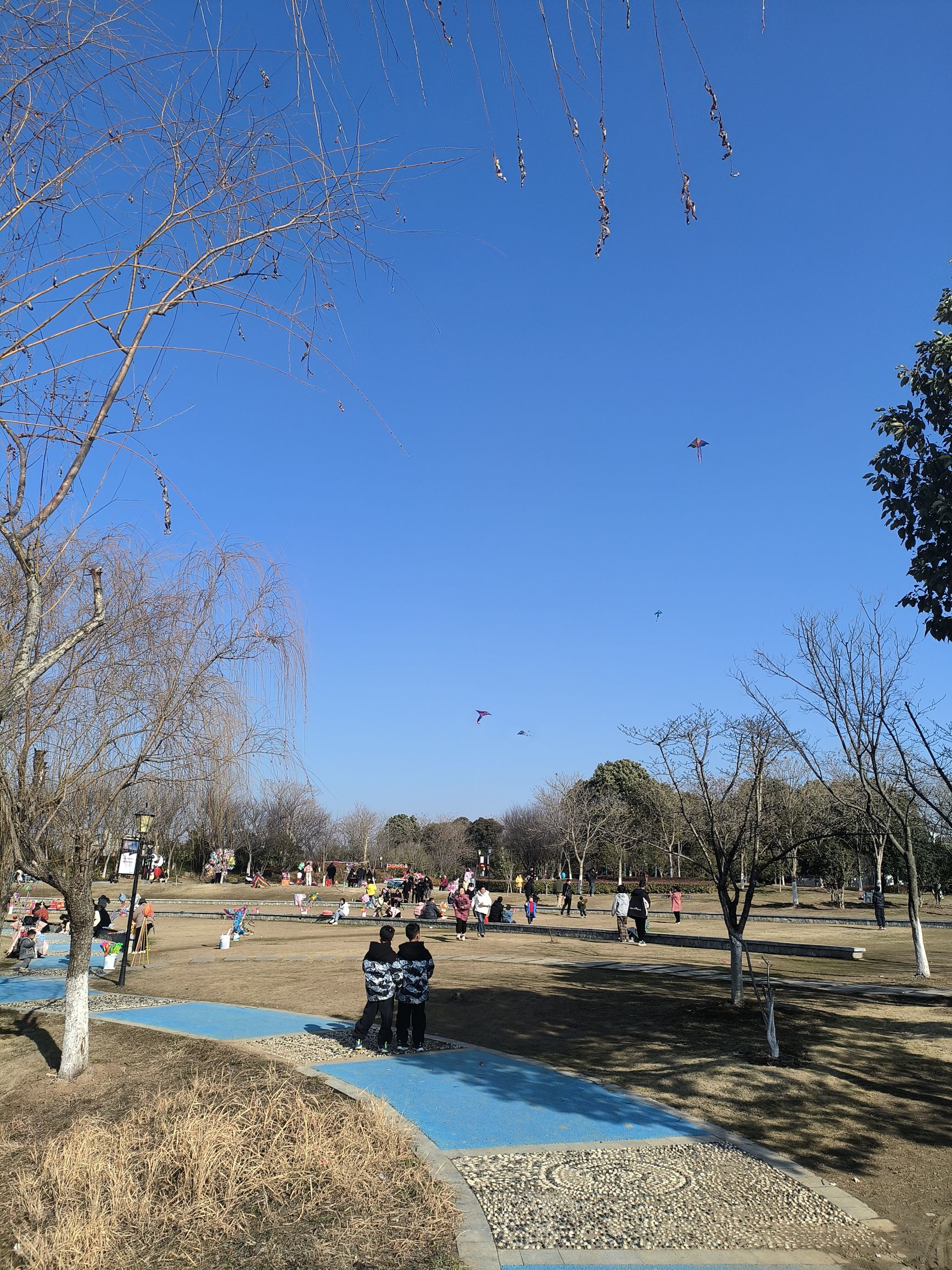定远县包青天廉政文化公园旅行图片 2