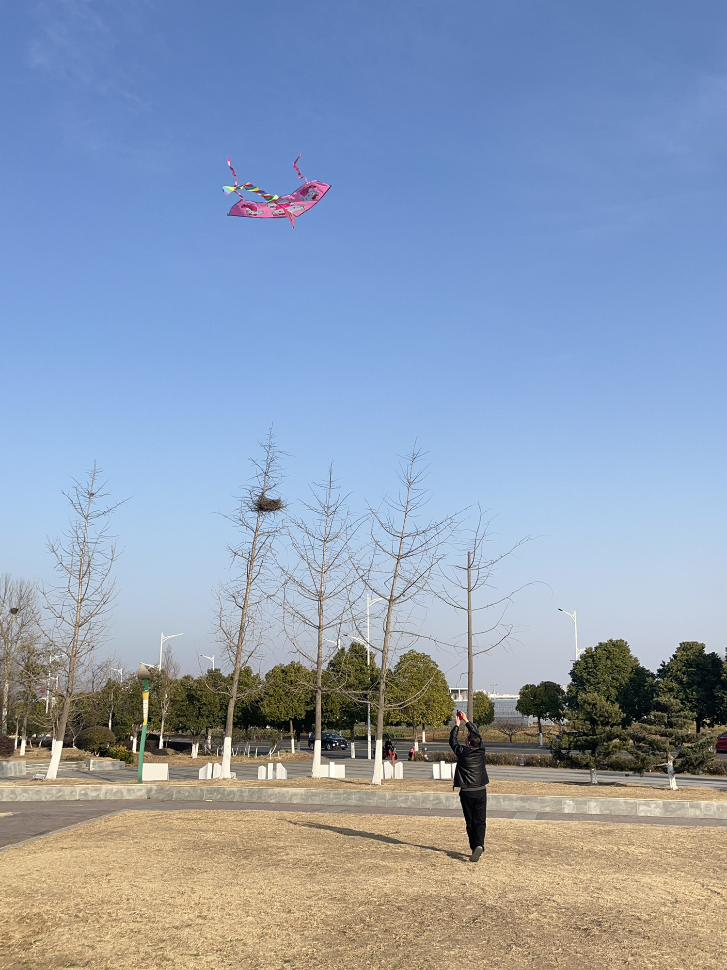 柳陂公园旅行图片
