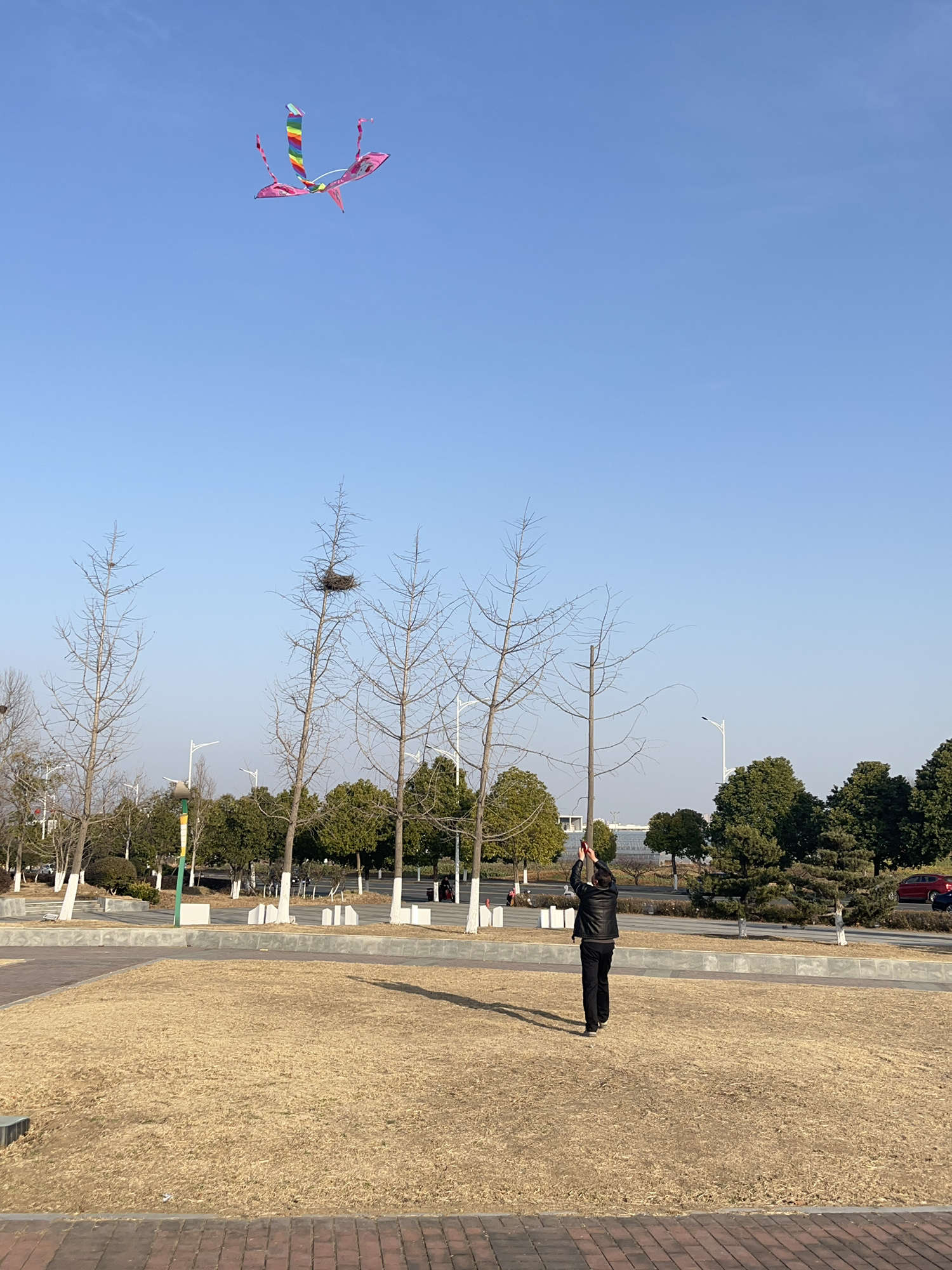 柳陂公园旅行图片 2