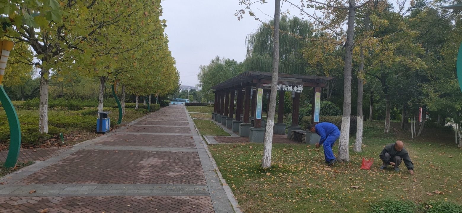 柳陂公园旅行图片 2
