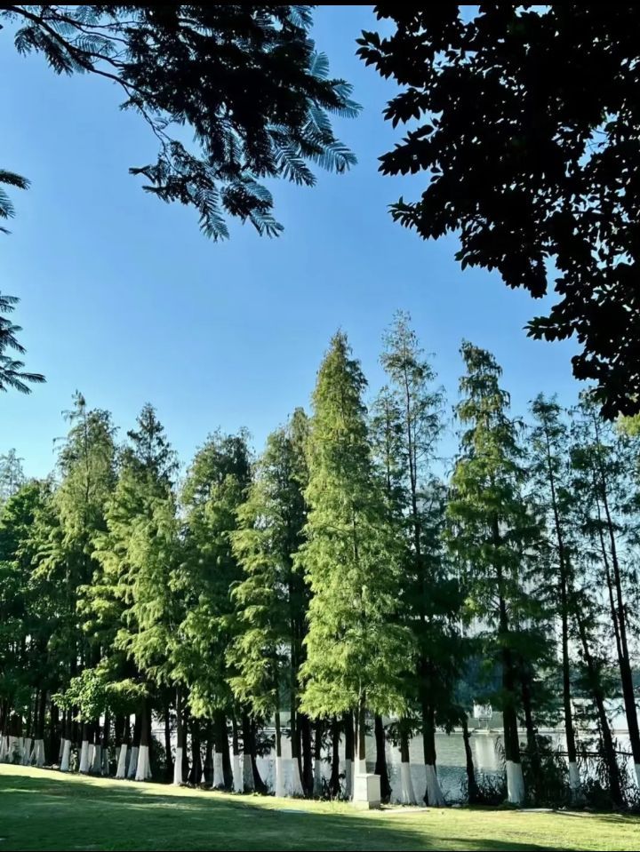 绿洲公园旅行图片 3