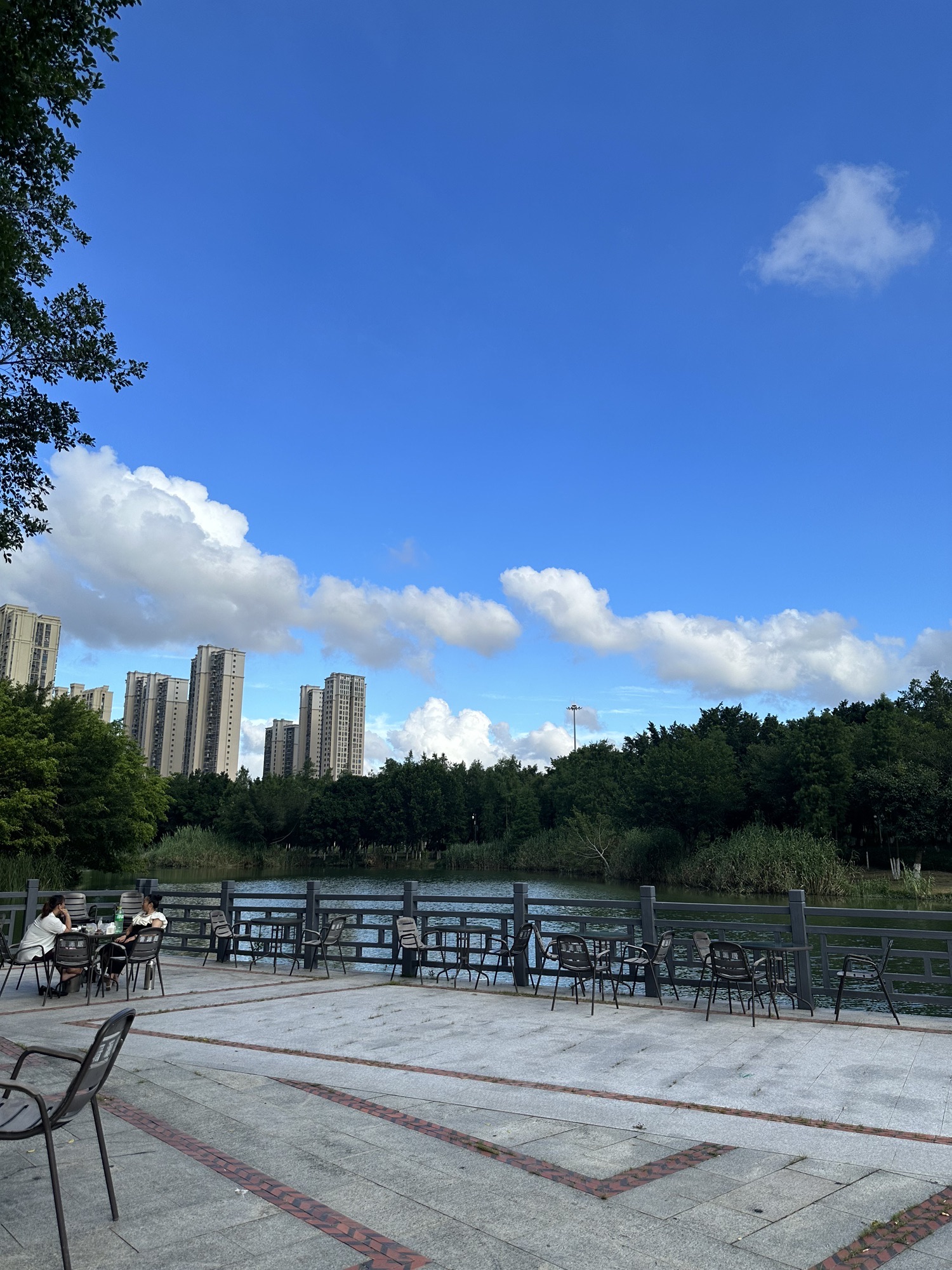 绿洲公园旅行图片 3