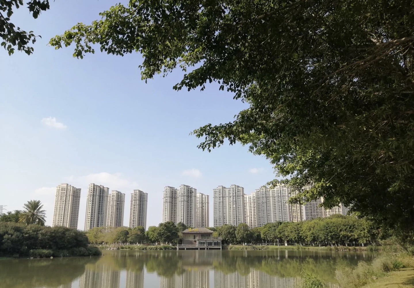 绿洲公园旅行图片 1