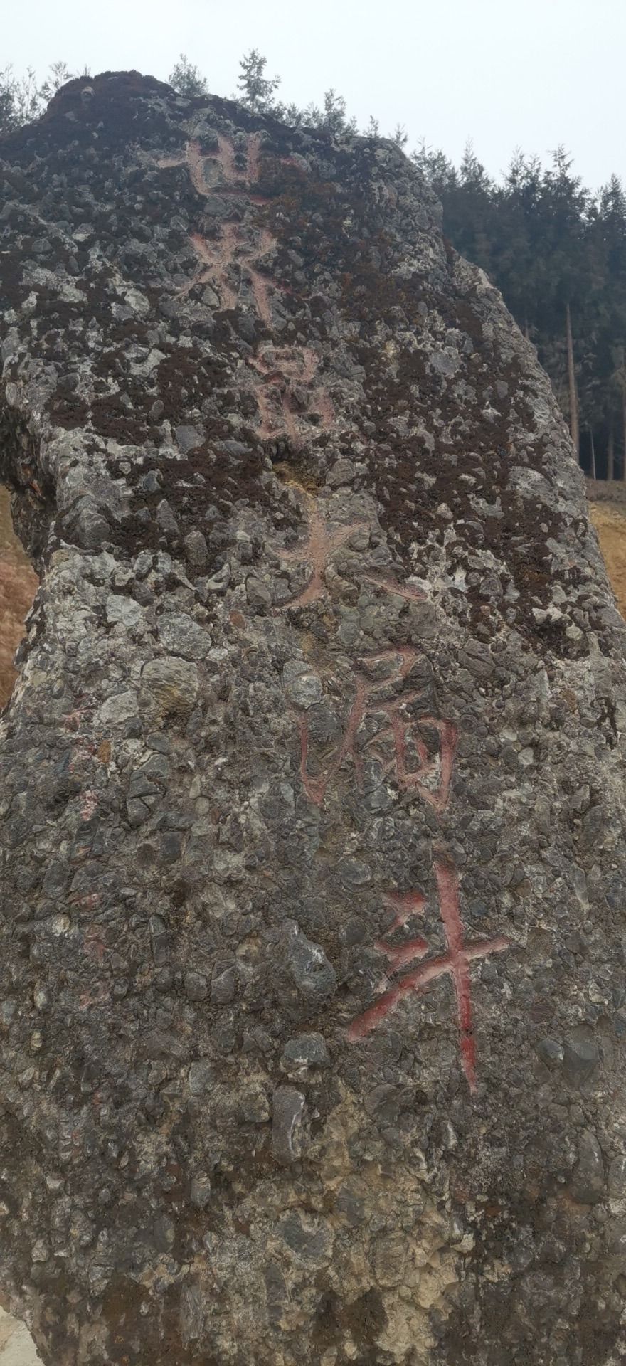 芦山围塔漏斗观景台旅行图片 1