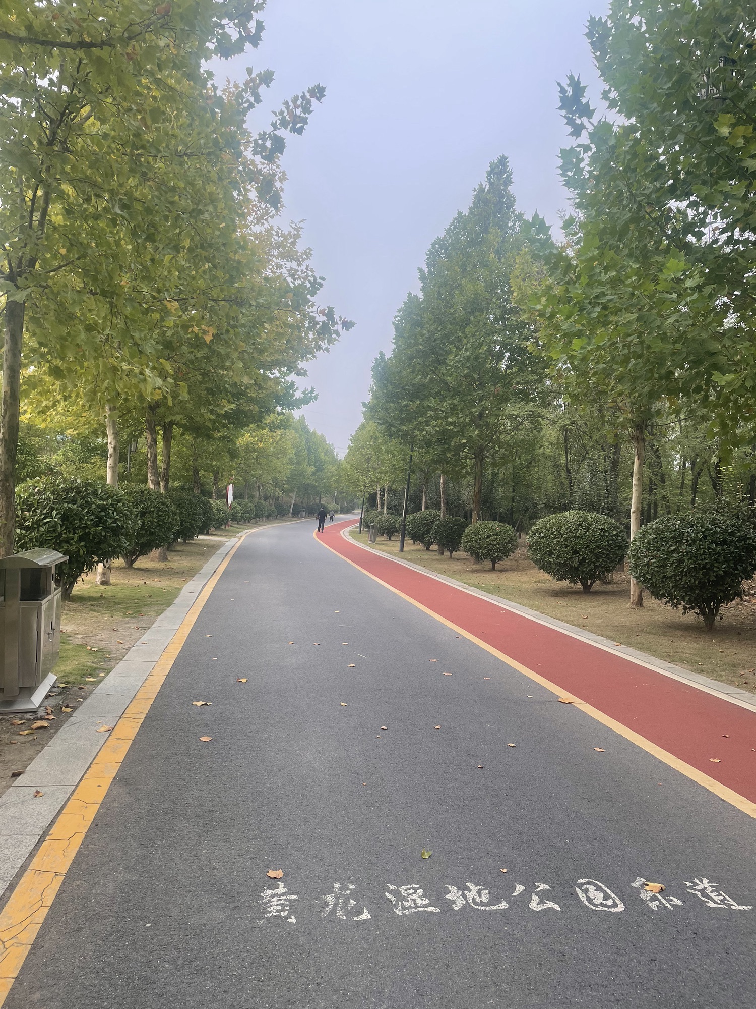 临颍县黄龙湿地公园旅行图片 1