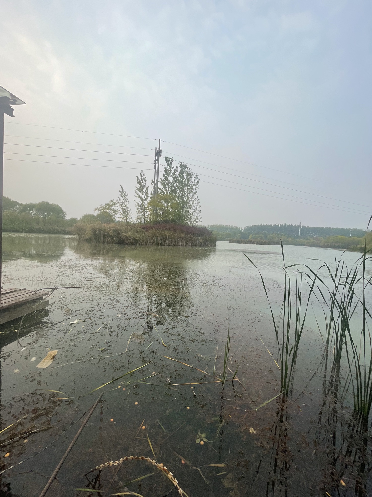 临颍县黄龙湿地公园旅行图片 2