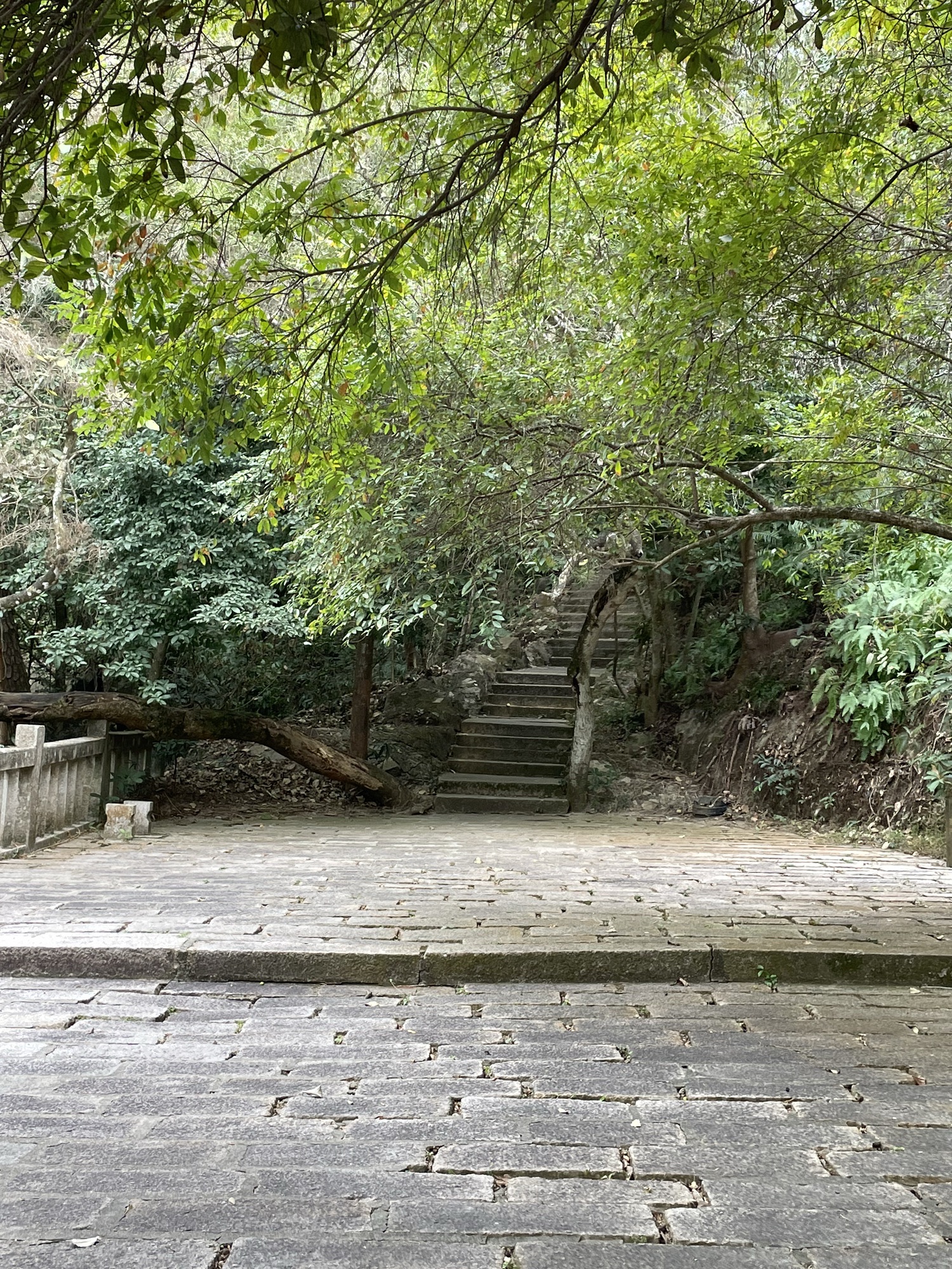礐石风景名胜区绿道旅行图片 1